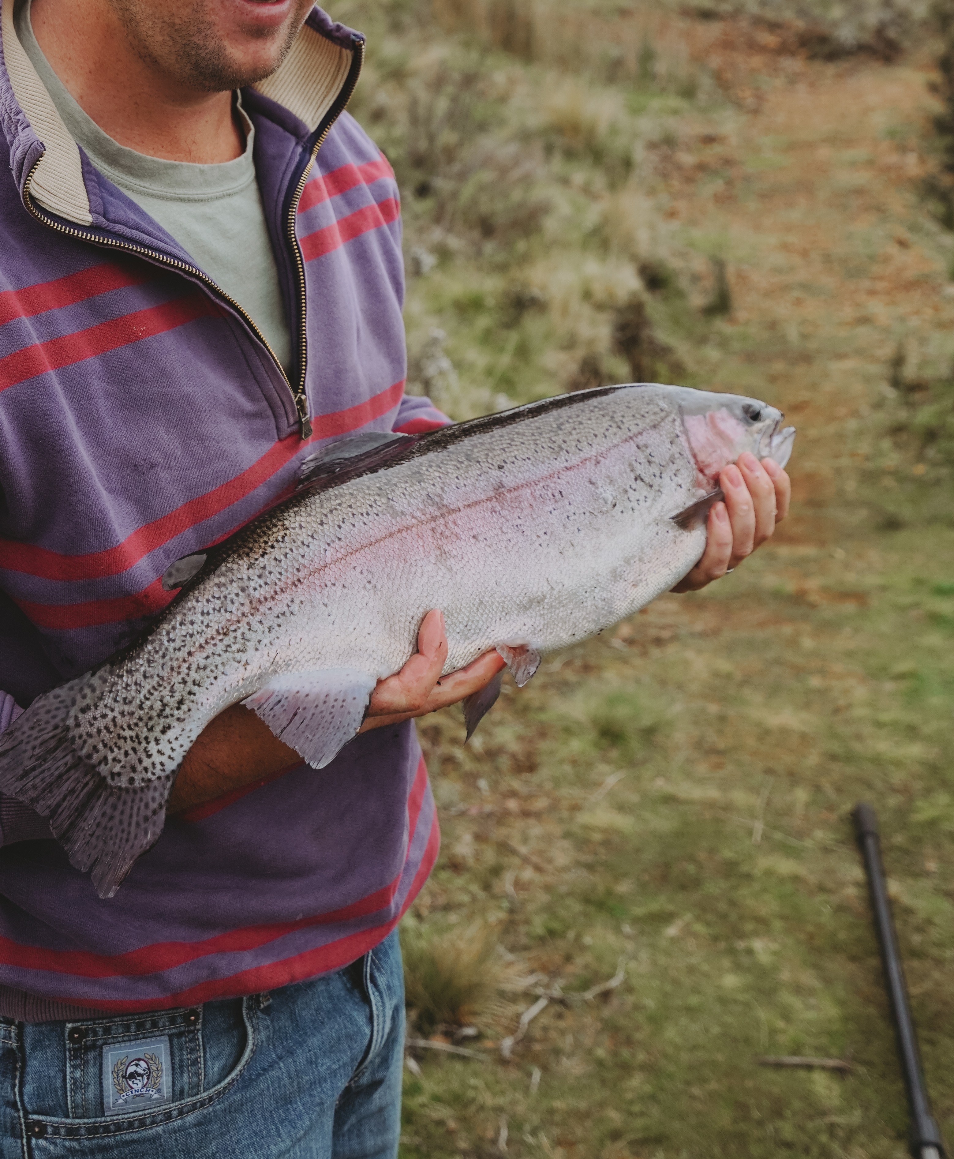 Cradle Mountain Fishery and Camping
