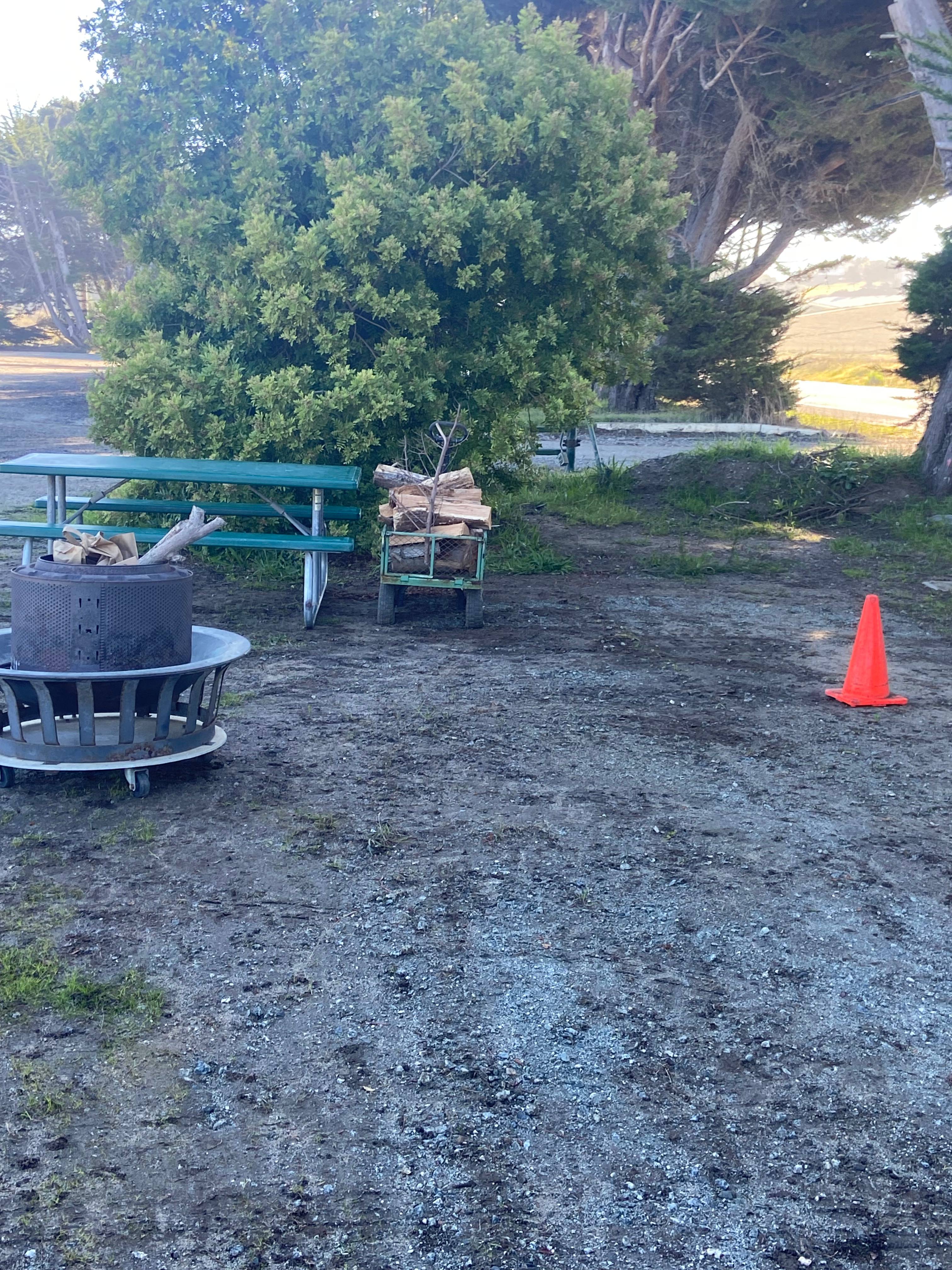 Picnic table and fire ring provided