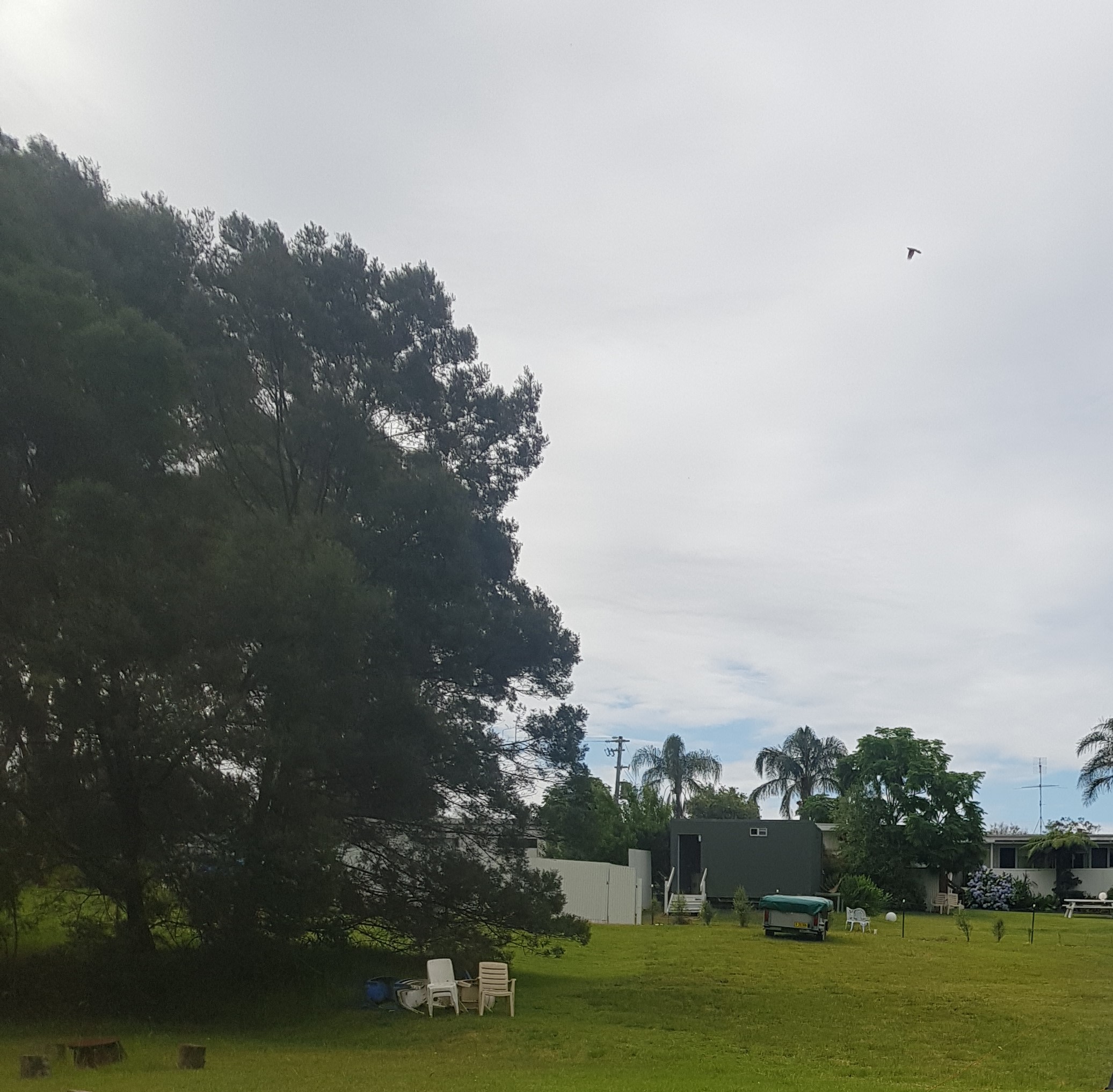 Lots of grass to spread out