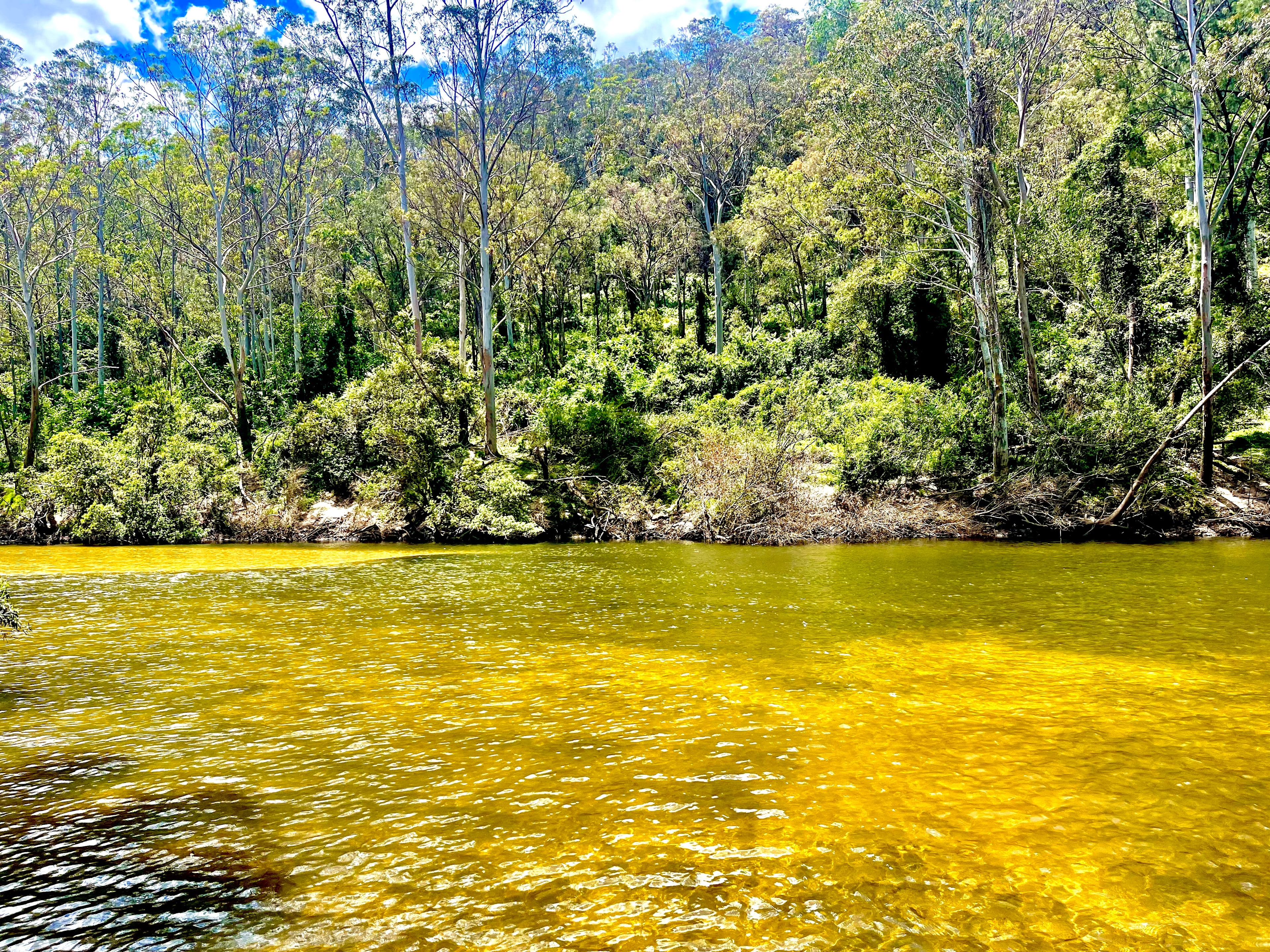 Shady Acres Colo River