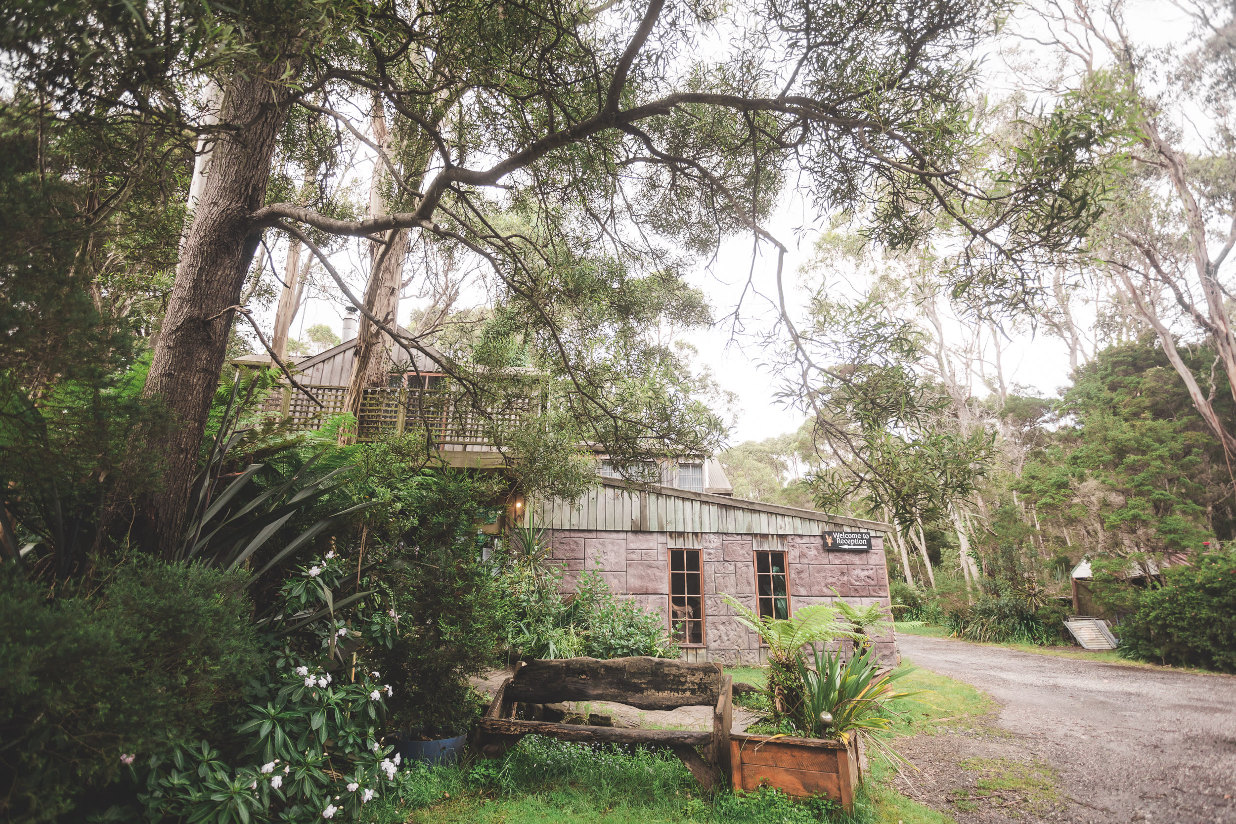Crayfish Creek Van and Cabin Park