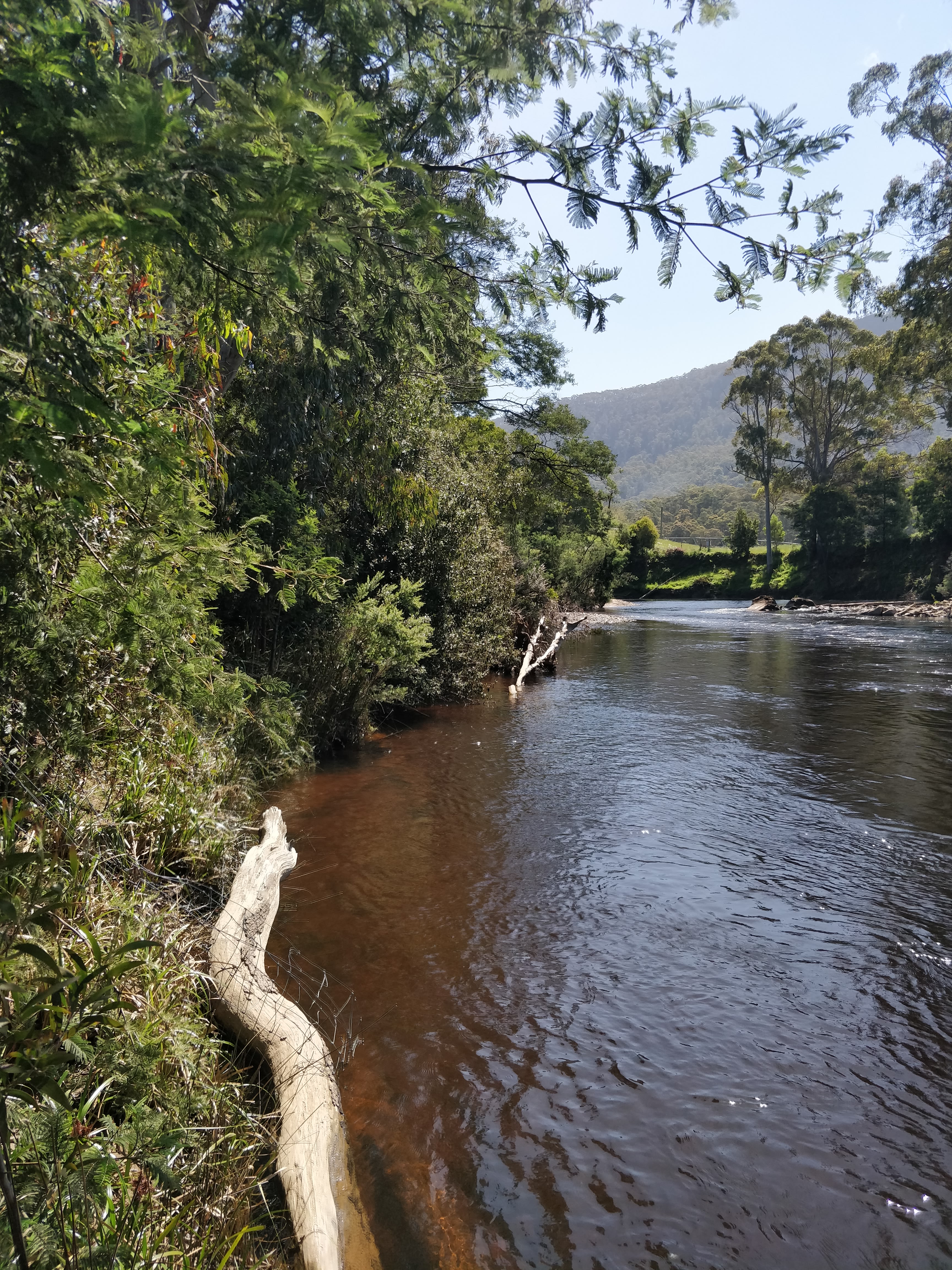 Leven River Camping On Wattle Farm