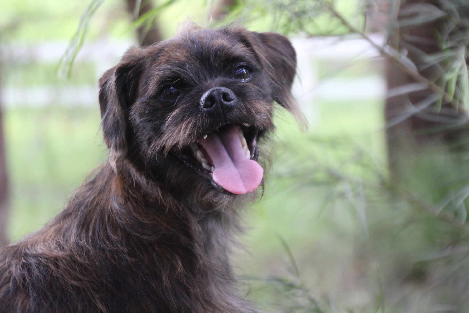 Kiernan Park Equestrian Centre