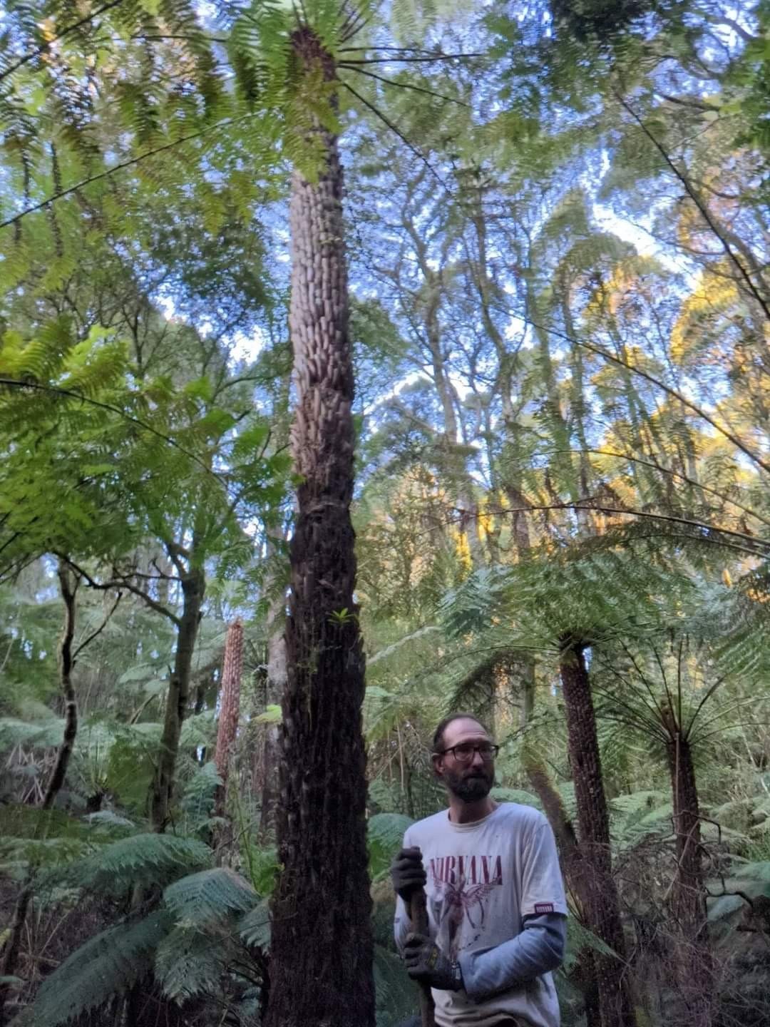 Mountain Life Retreat