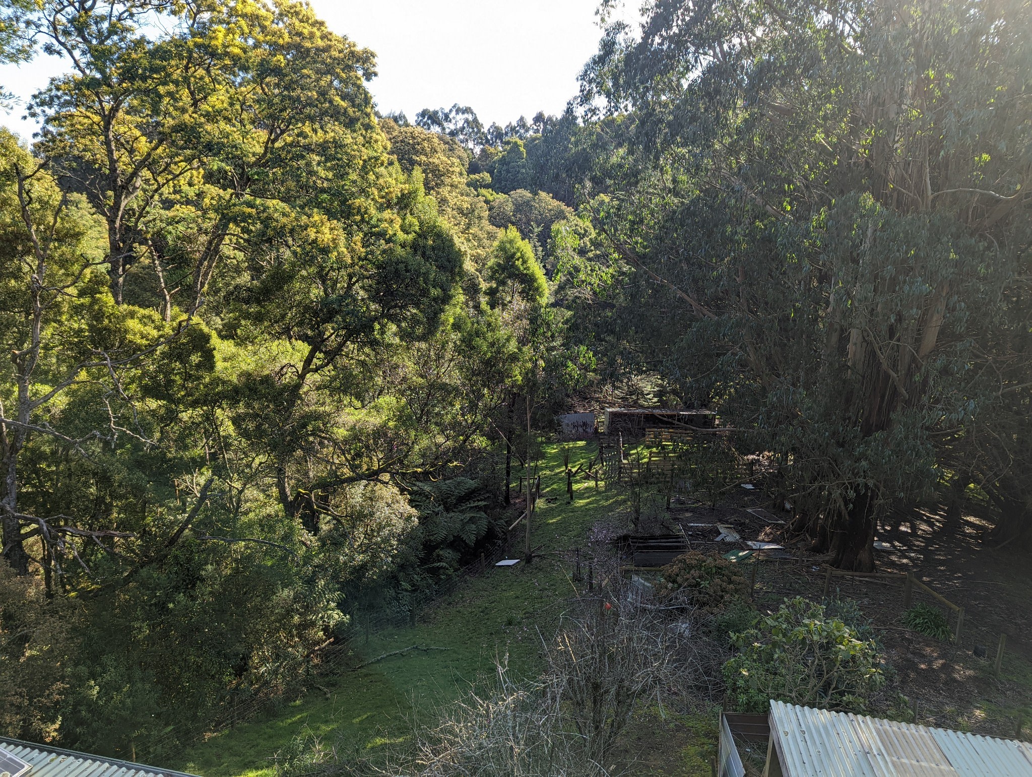 Mountain Life Retreat