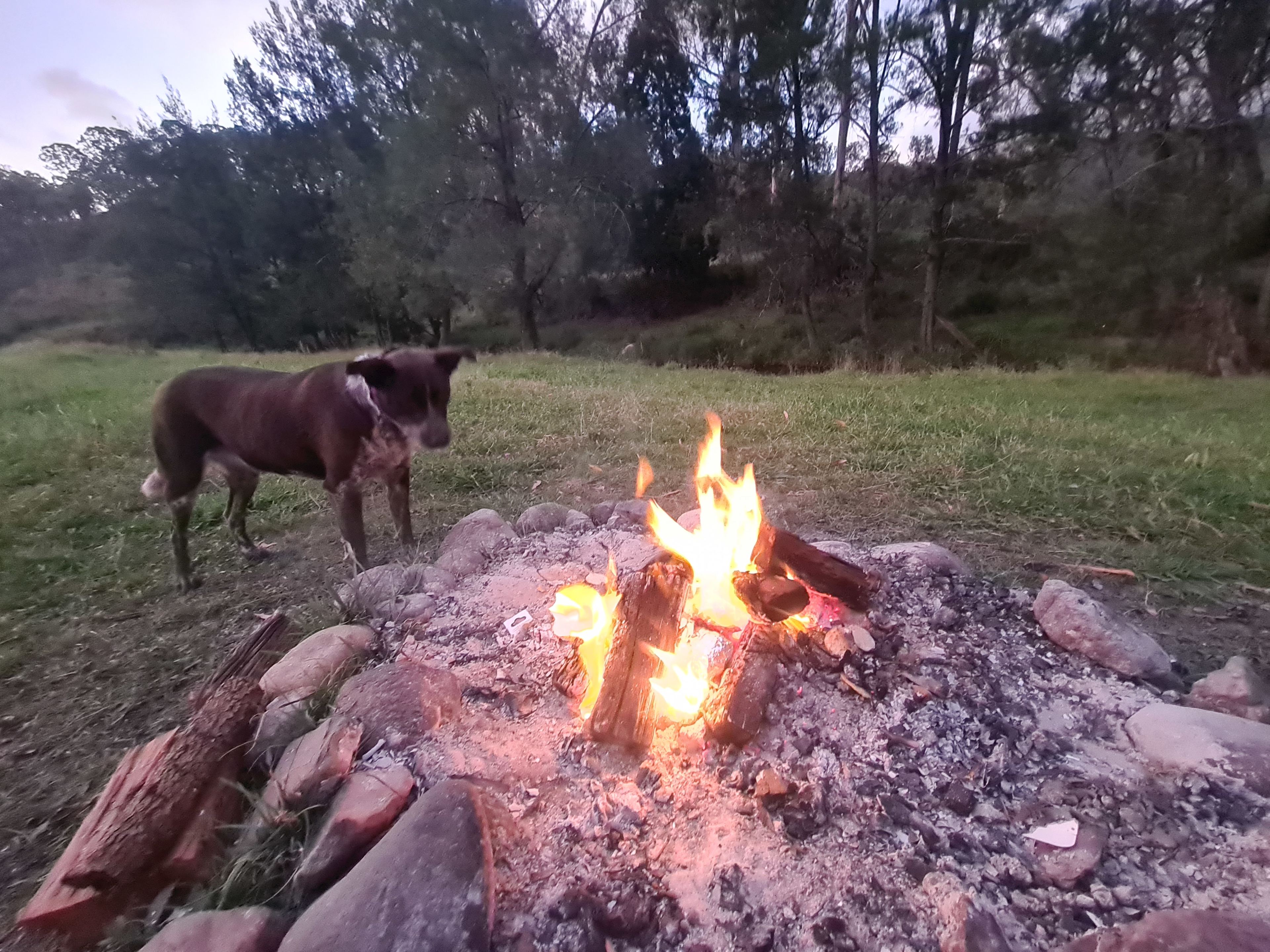 Millar Vale Creek Camping Innisfree