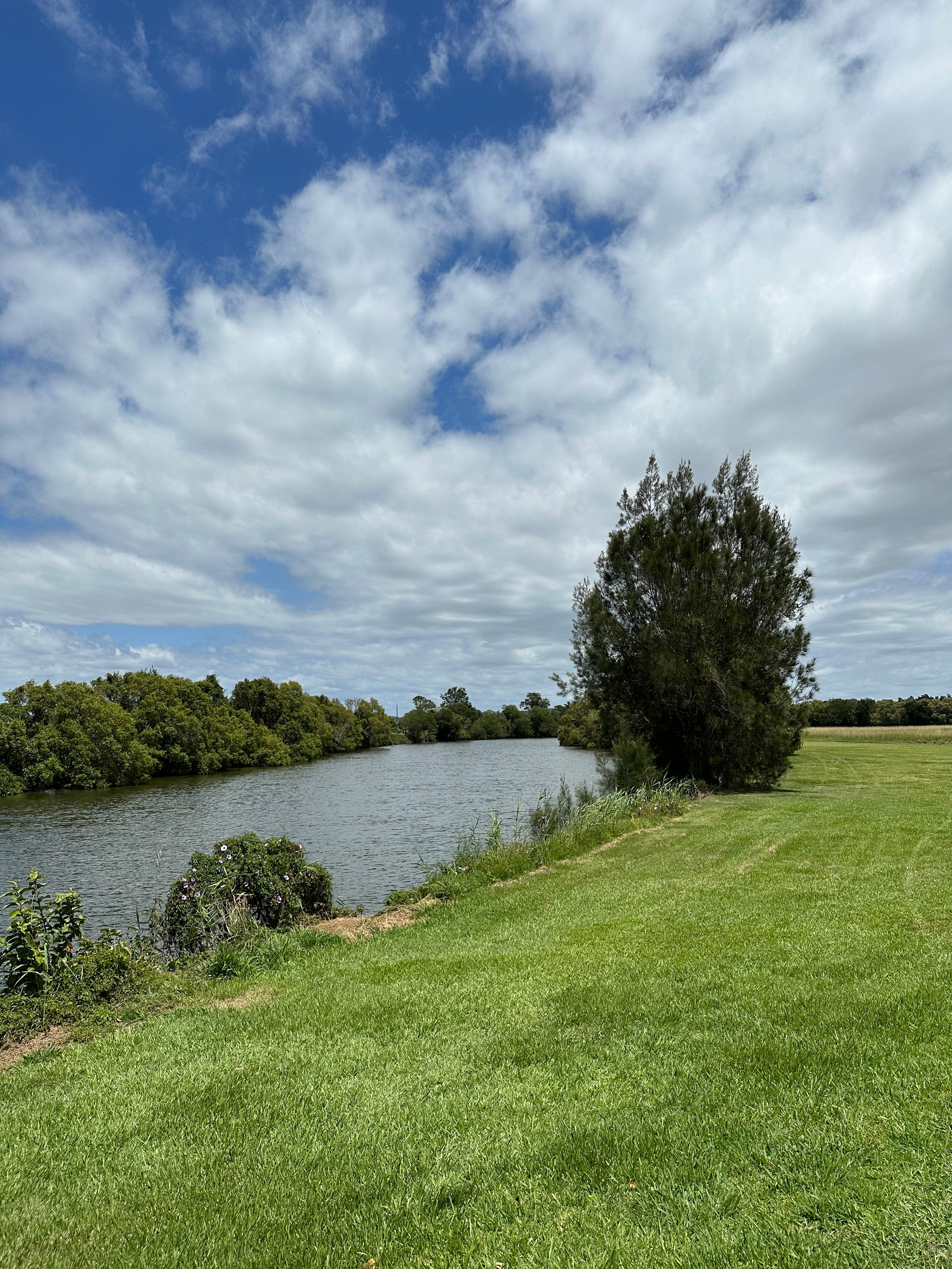 Flat grassy area. Pick your own 
site 