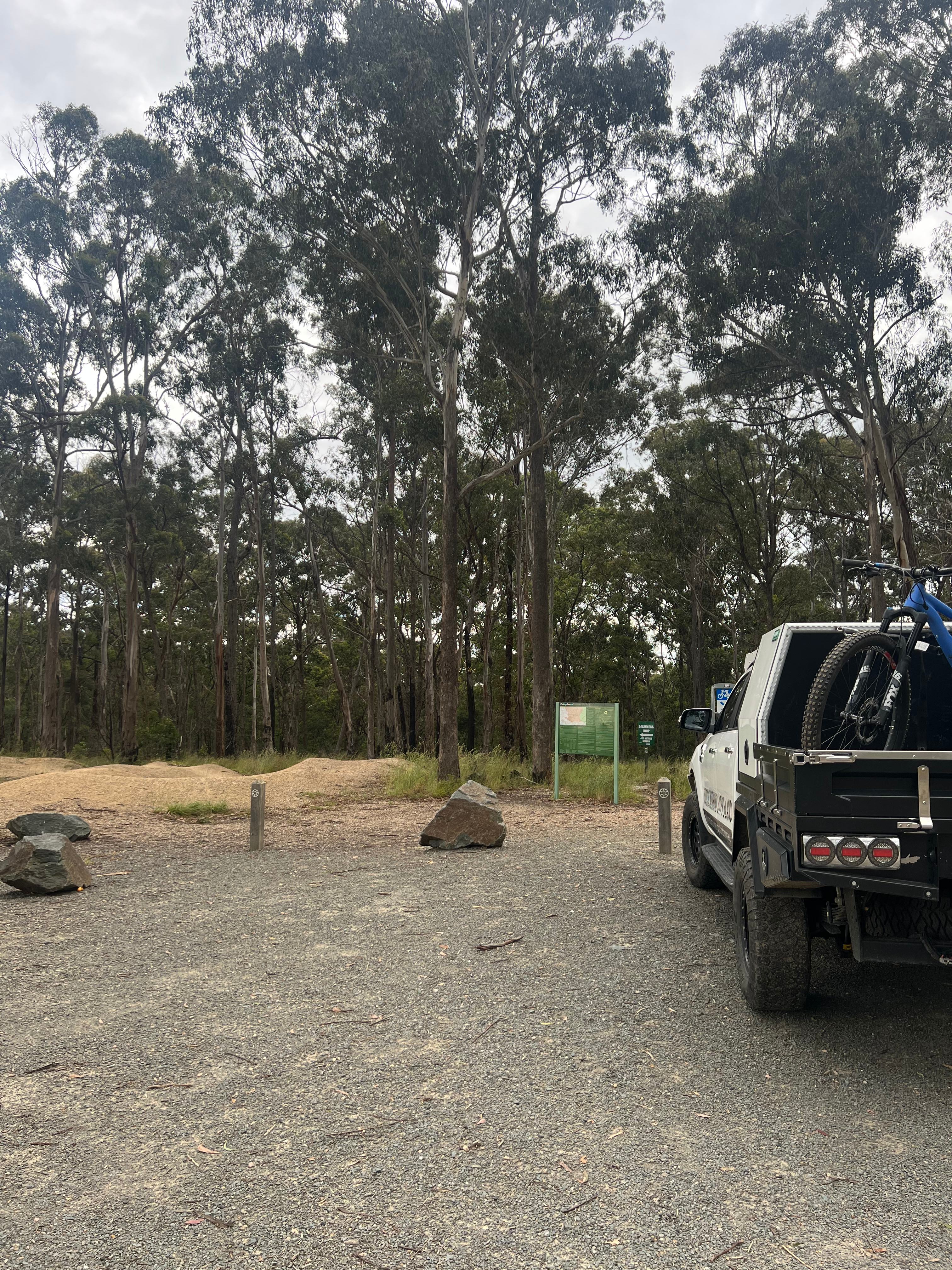 Home among the Gumtrees