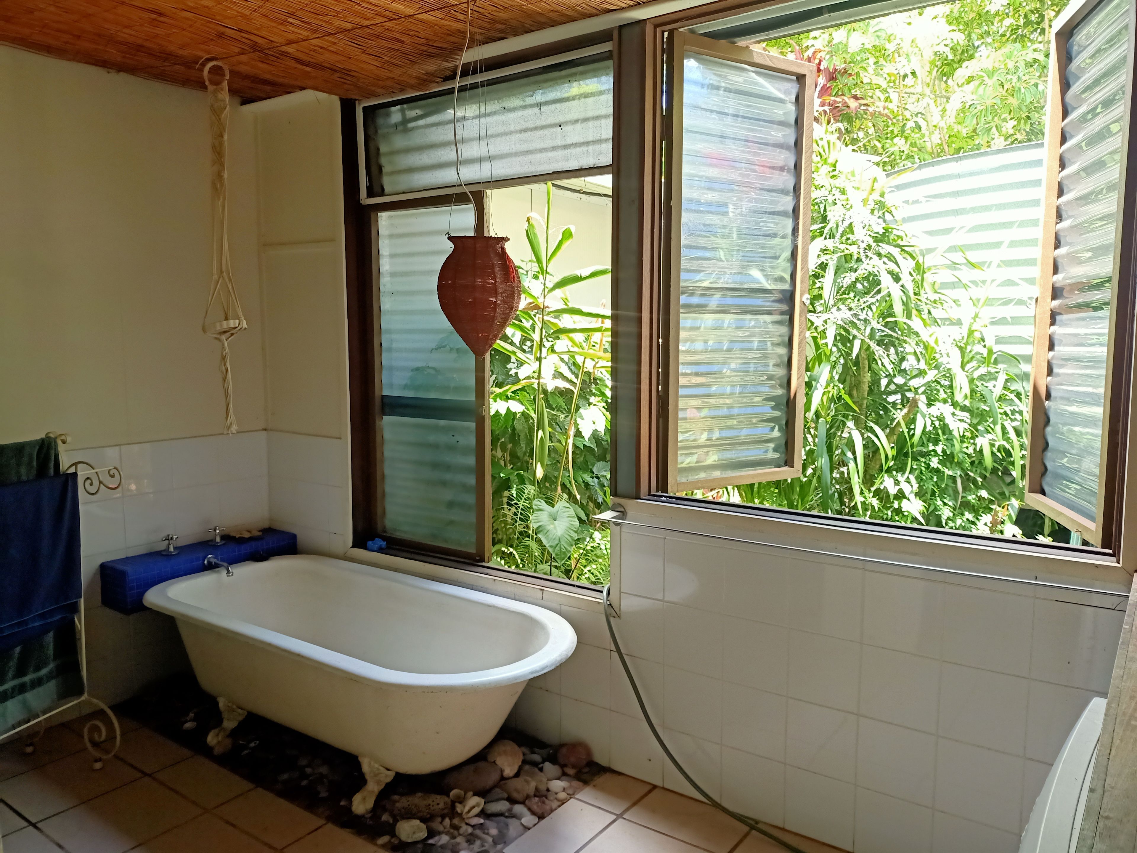 Higher Ground Coastal Bush Retreat & Permaculture