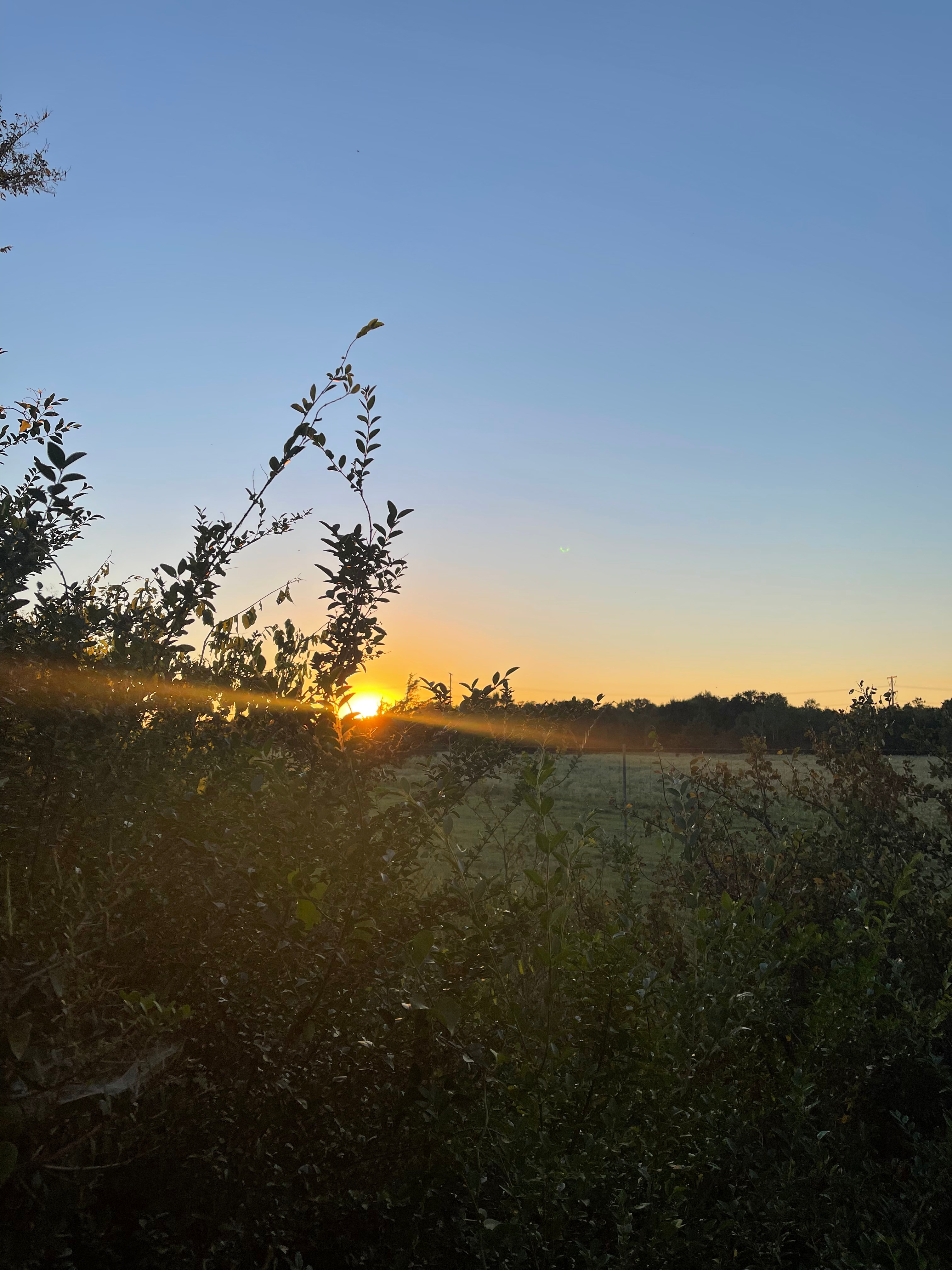 Perfect Golden Hour views 