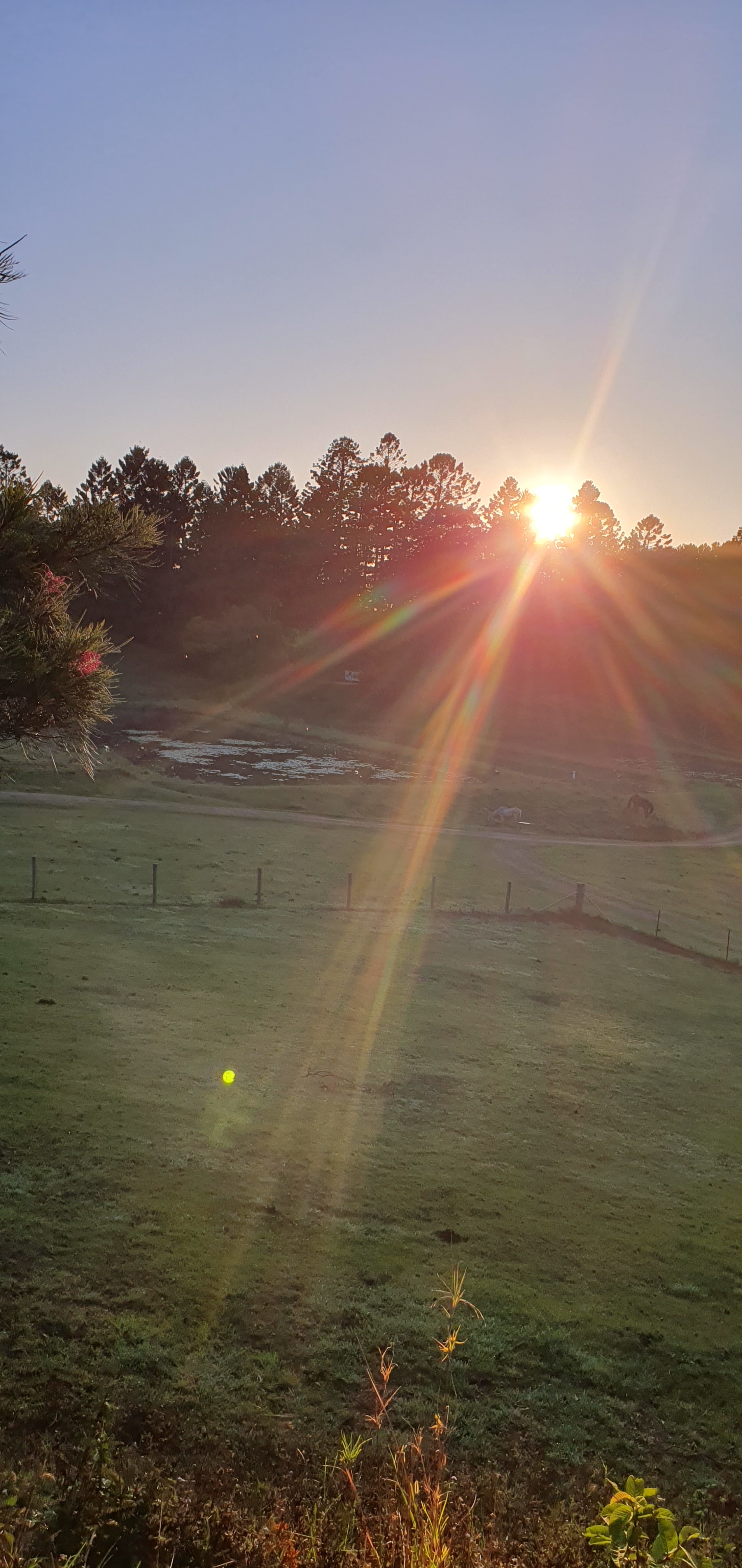 "JALUM" Undulating Farmland!