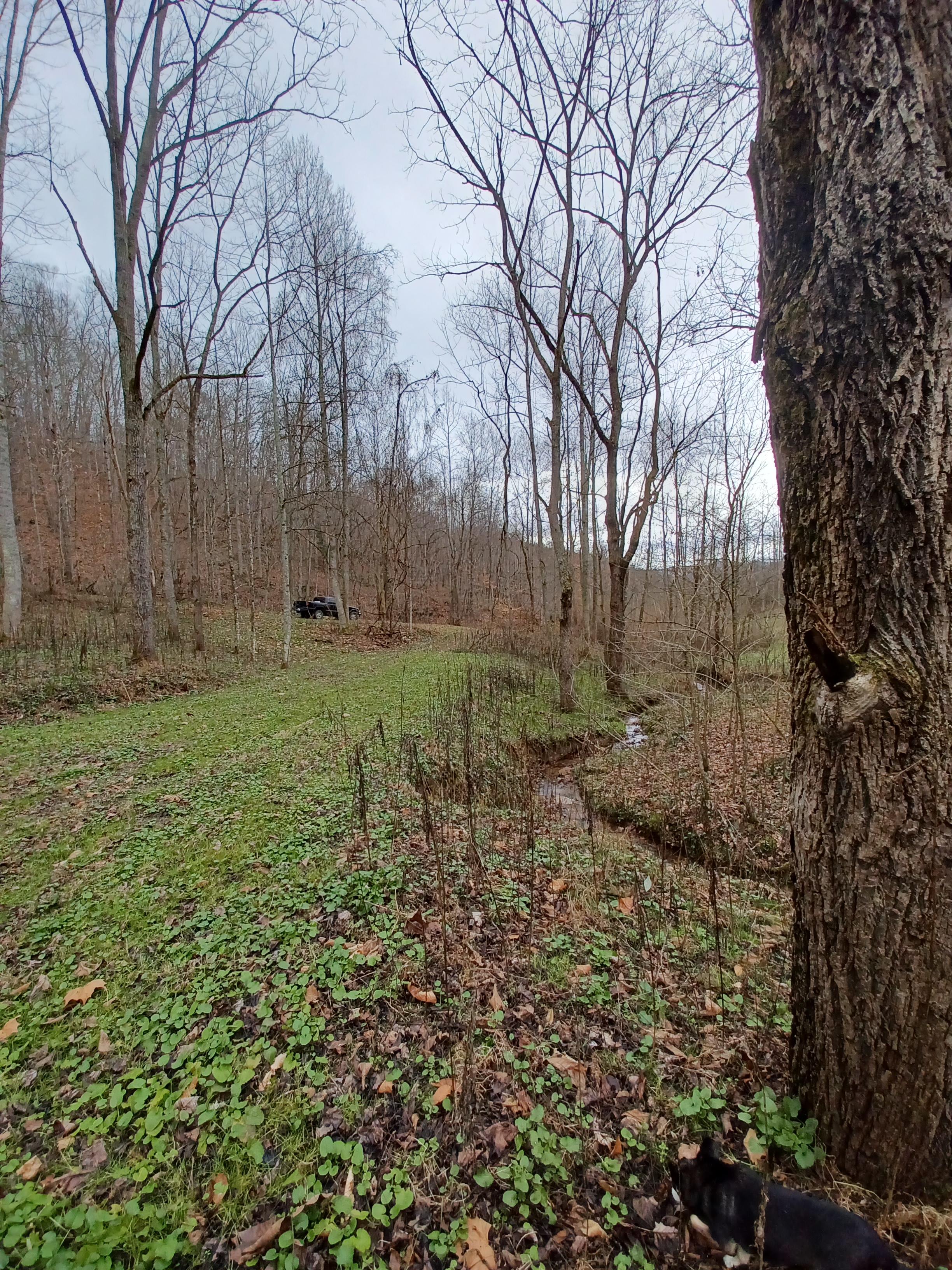 Tawney Farm's Wild & Woolly