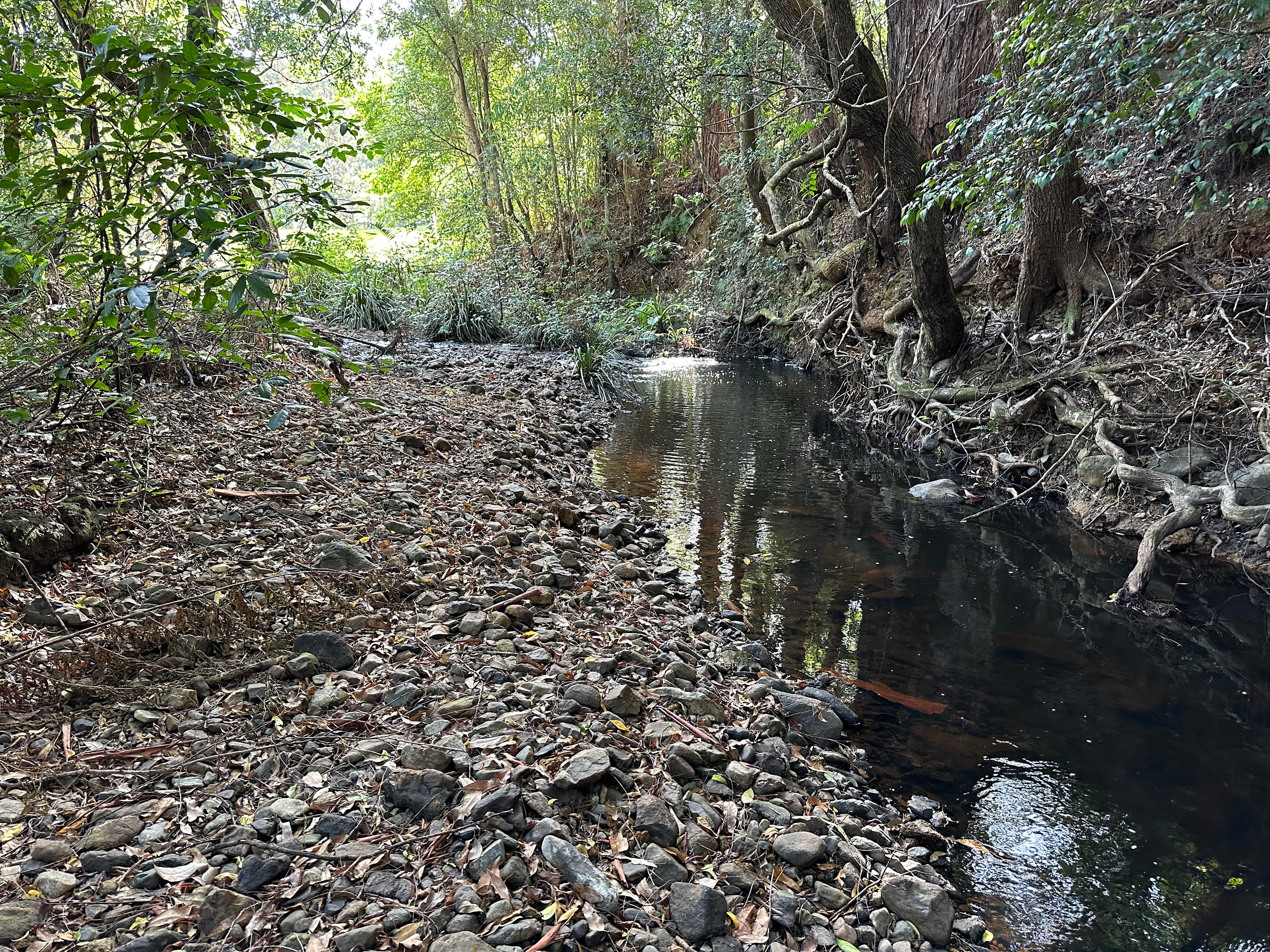 Bonvarly Creekfront