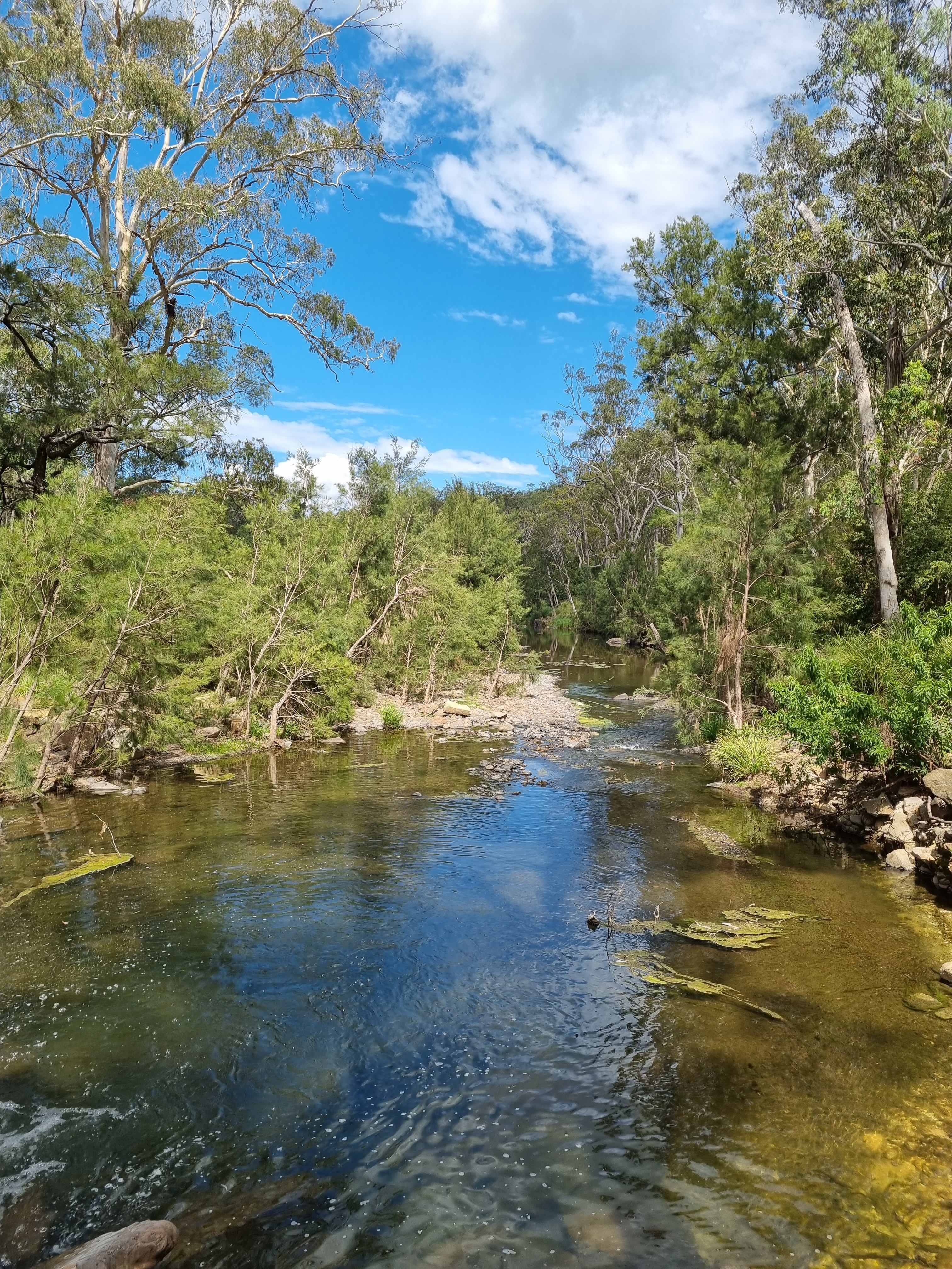Higgins Country Retreat