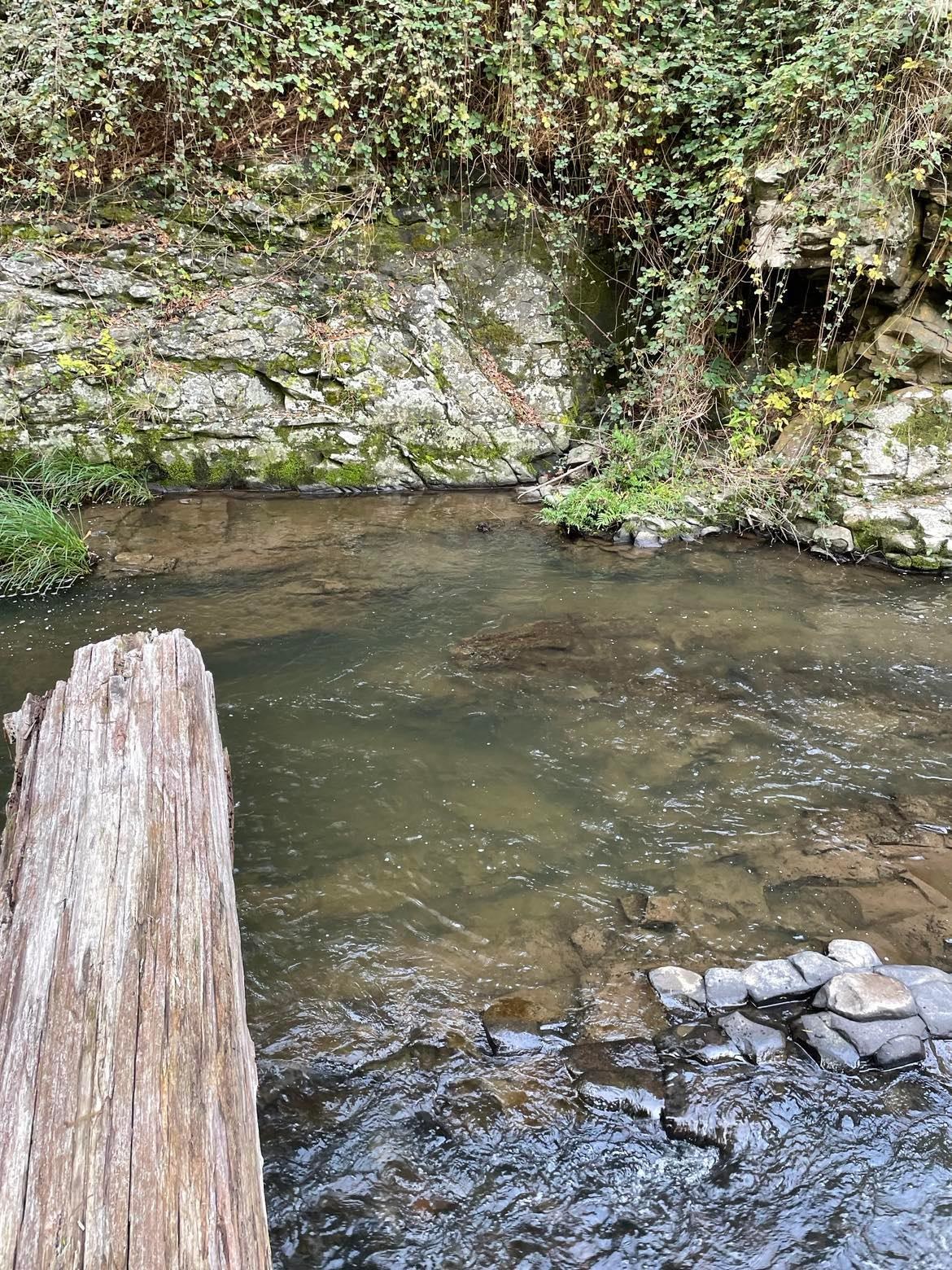 Merrimans Creek Seclusion