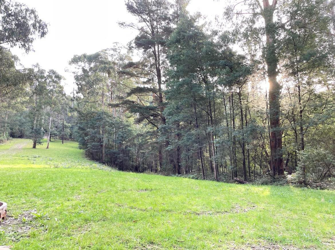 Merrimans Creek Seclusion