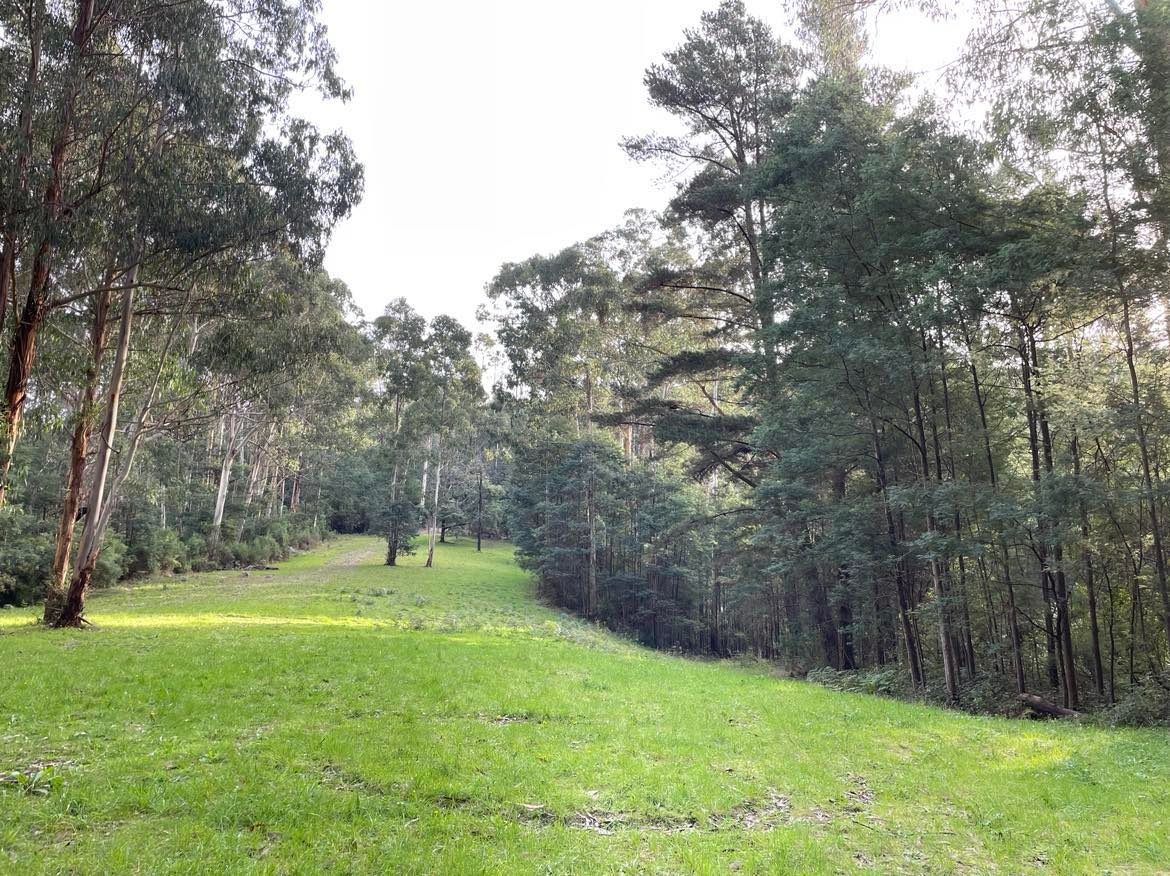 Merrimans Creek Seclusion