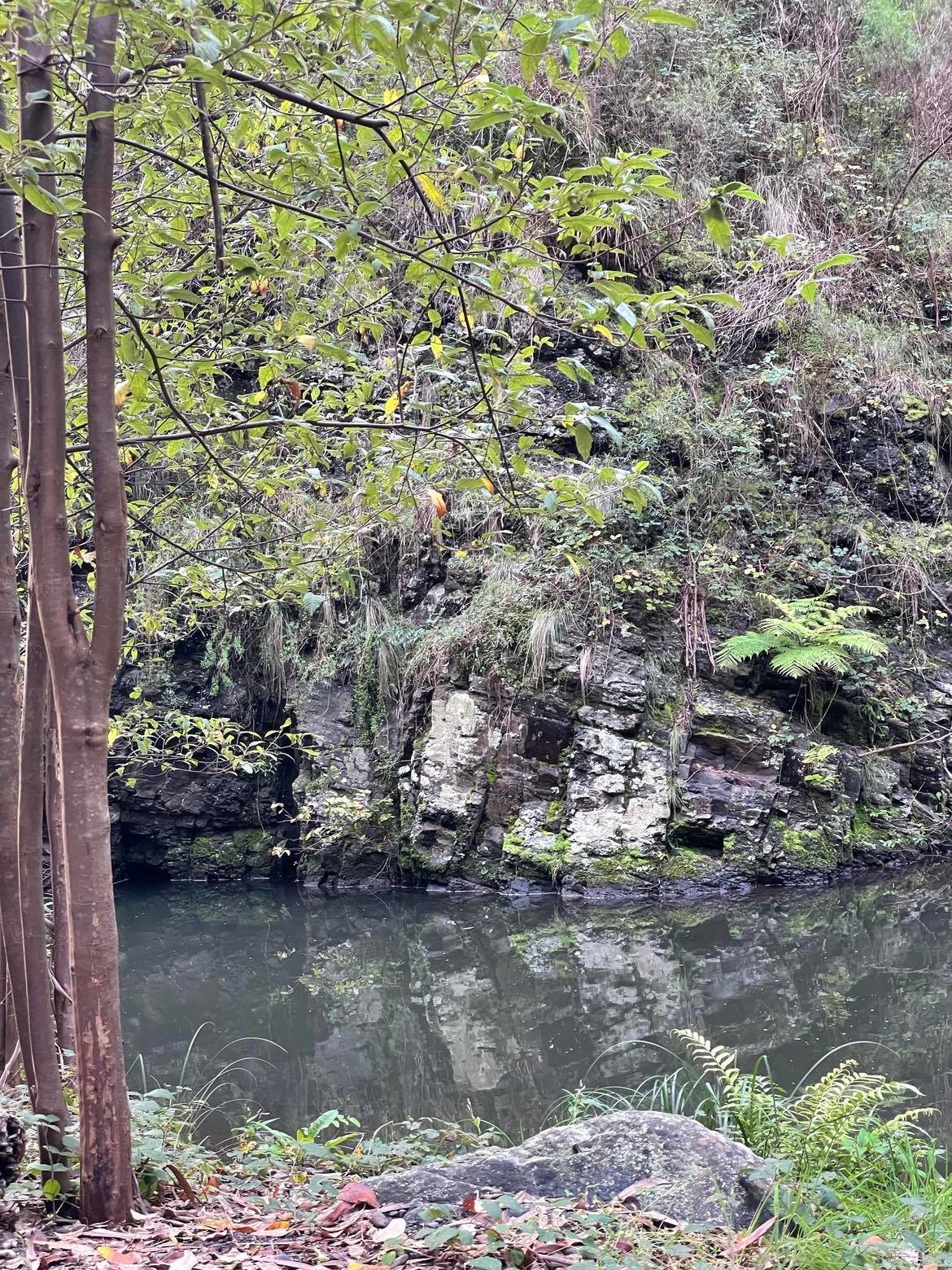 Merrimans Creek Seclusion