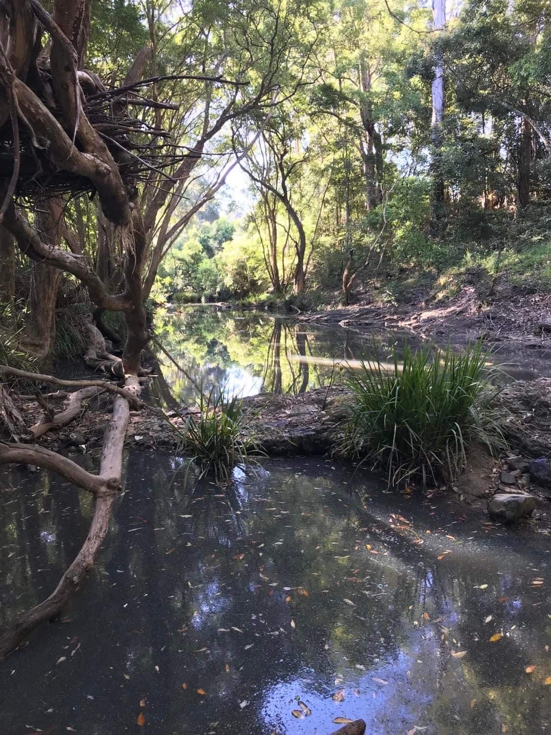 Heartwood - tranquility