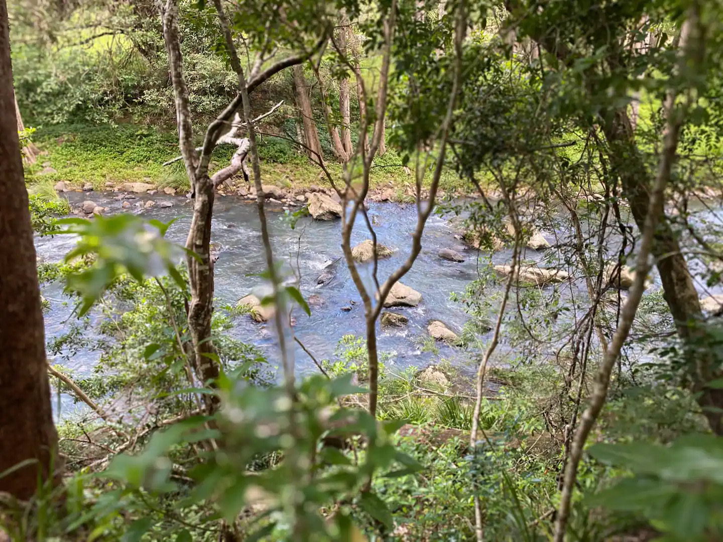 View of the rapids