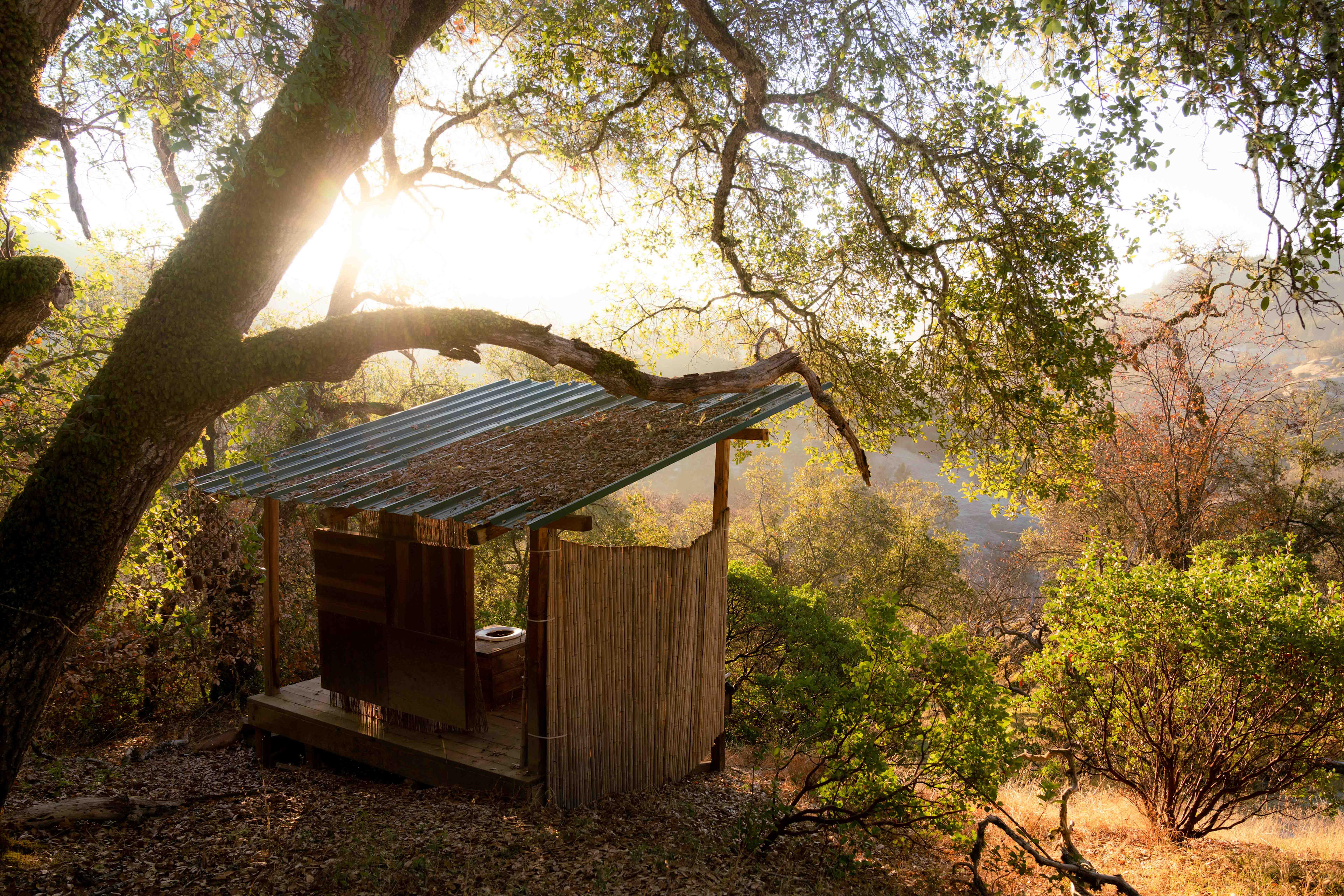 A toilet with a view