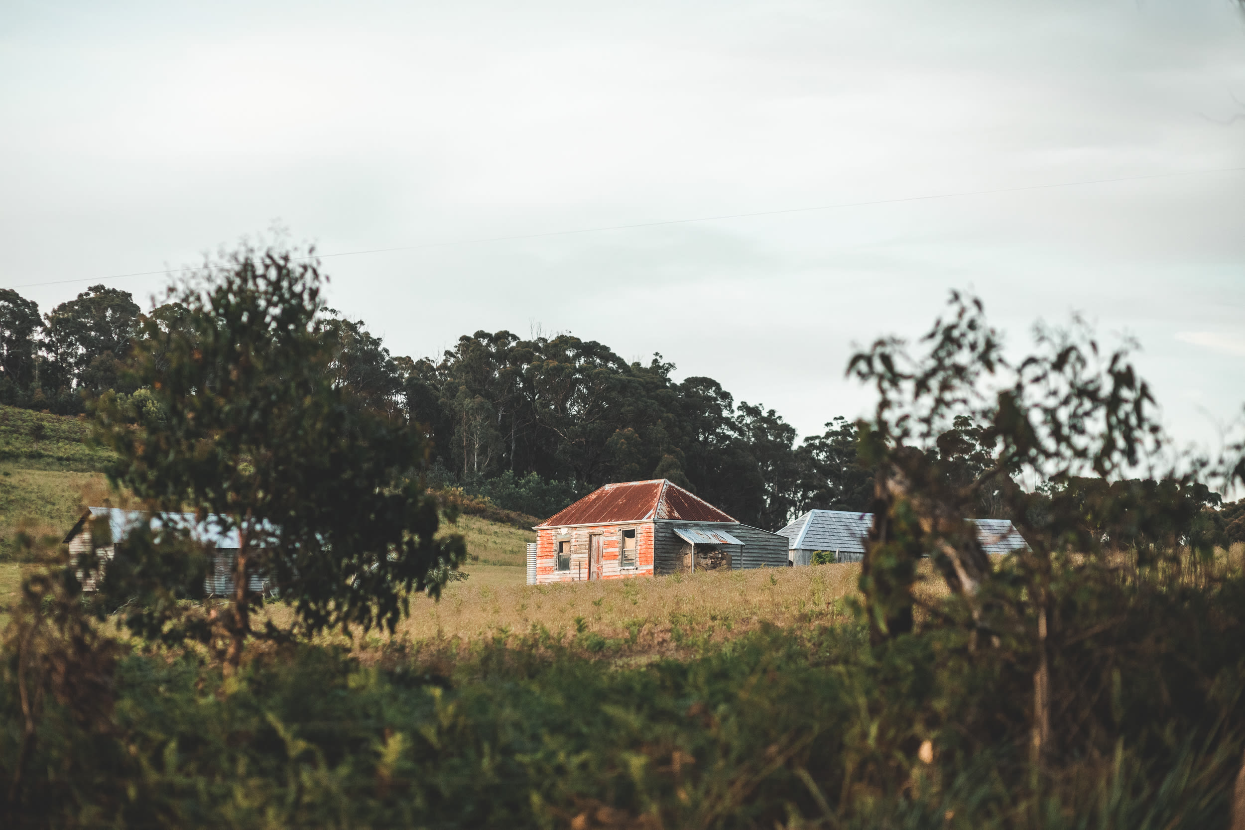 White Hill Nature Camp
