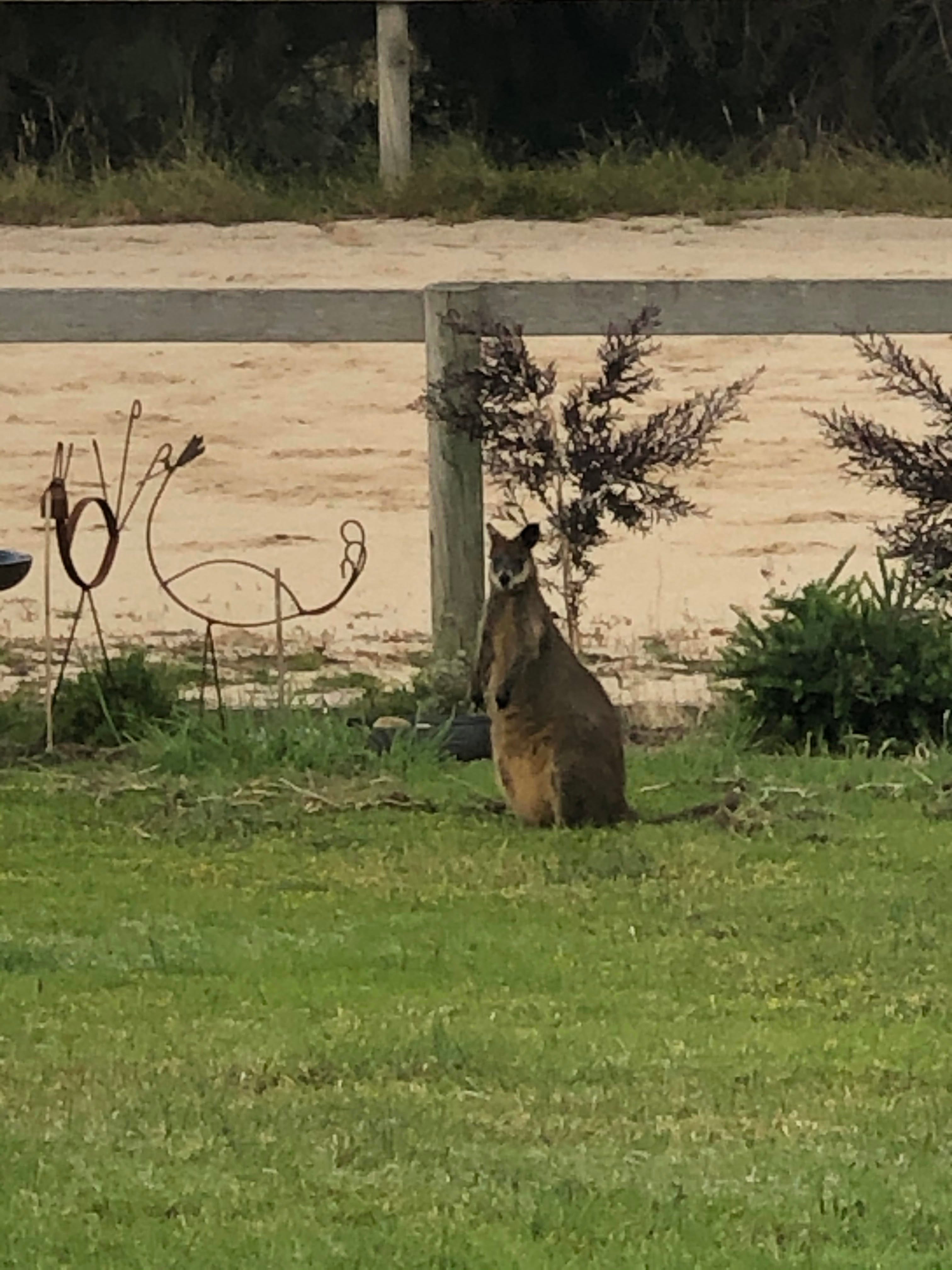 Berry's Beach Farm, Phillip Island
