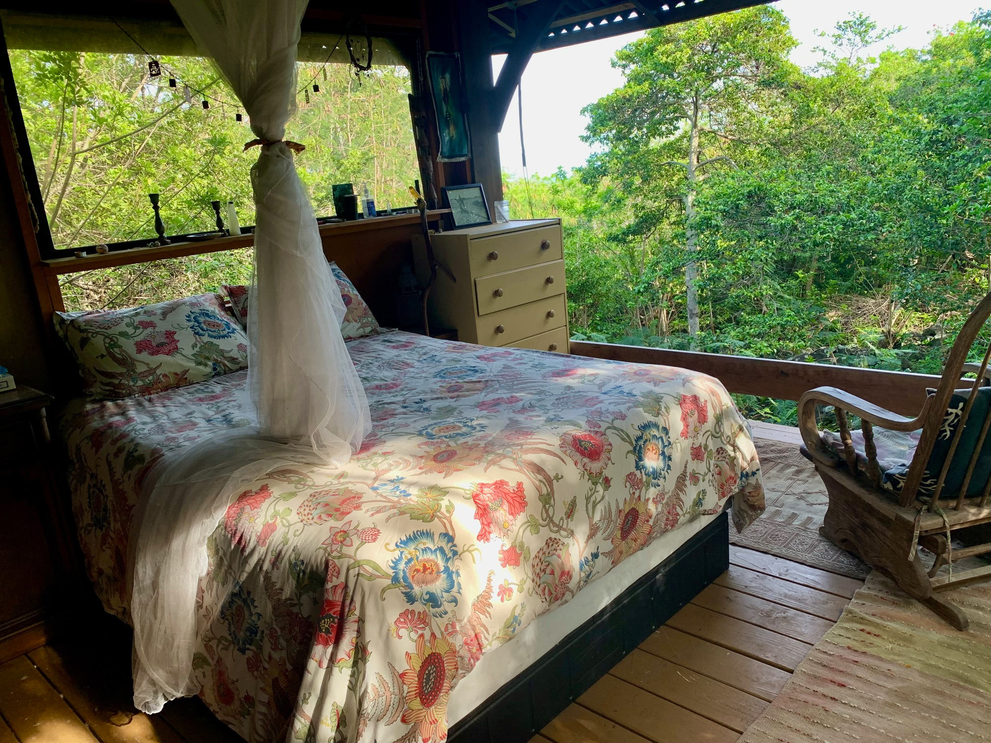 🌈 Rainbow’s End Farm & Homestead!