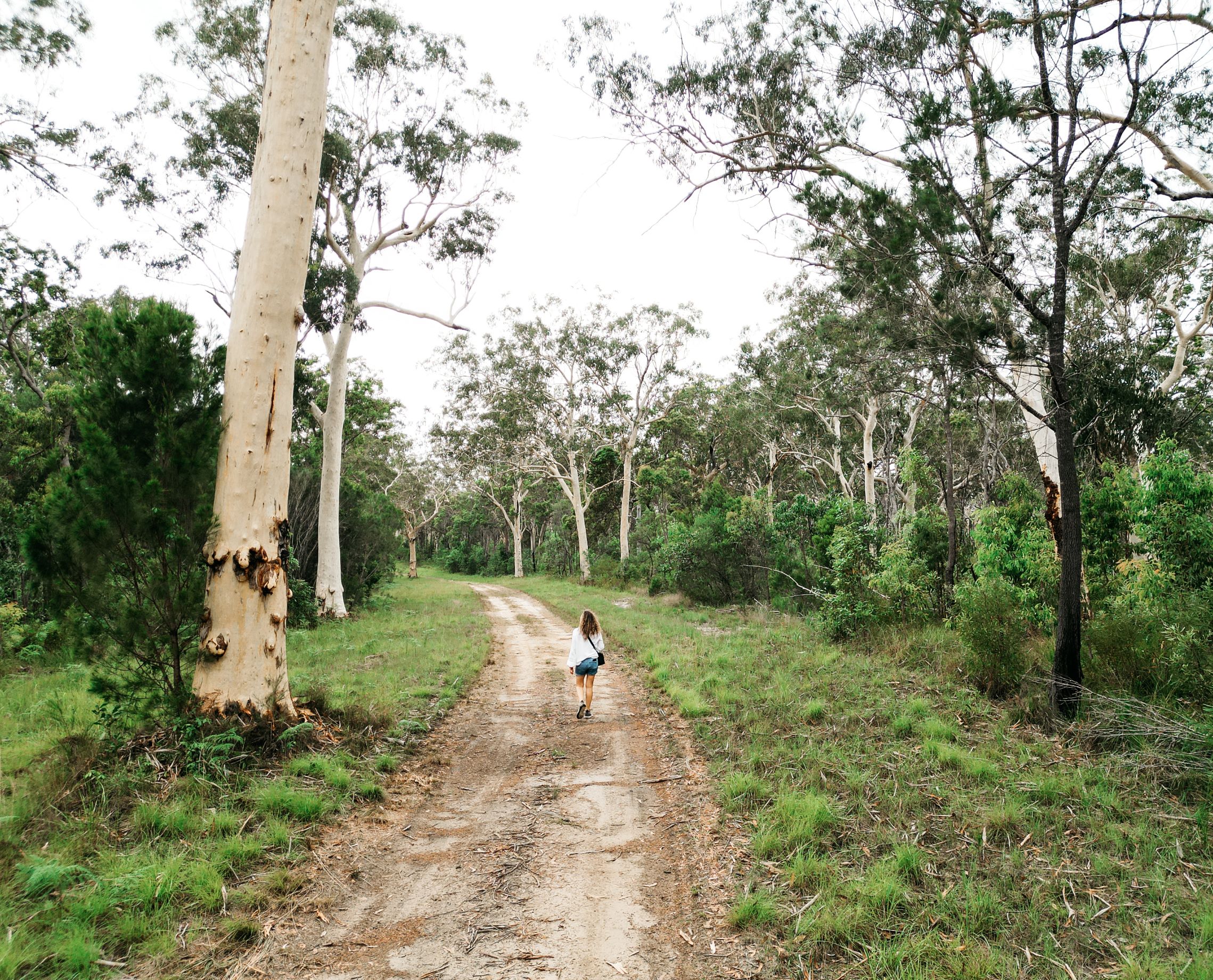 Noosa Everglades  Retreat/Camping
