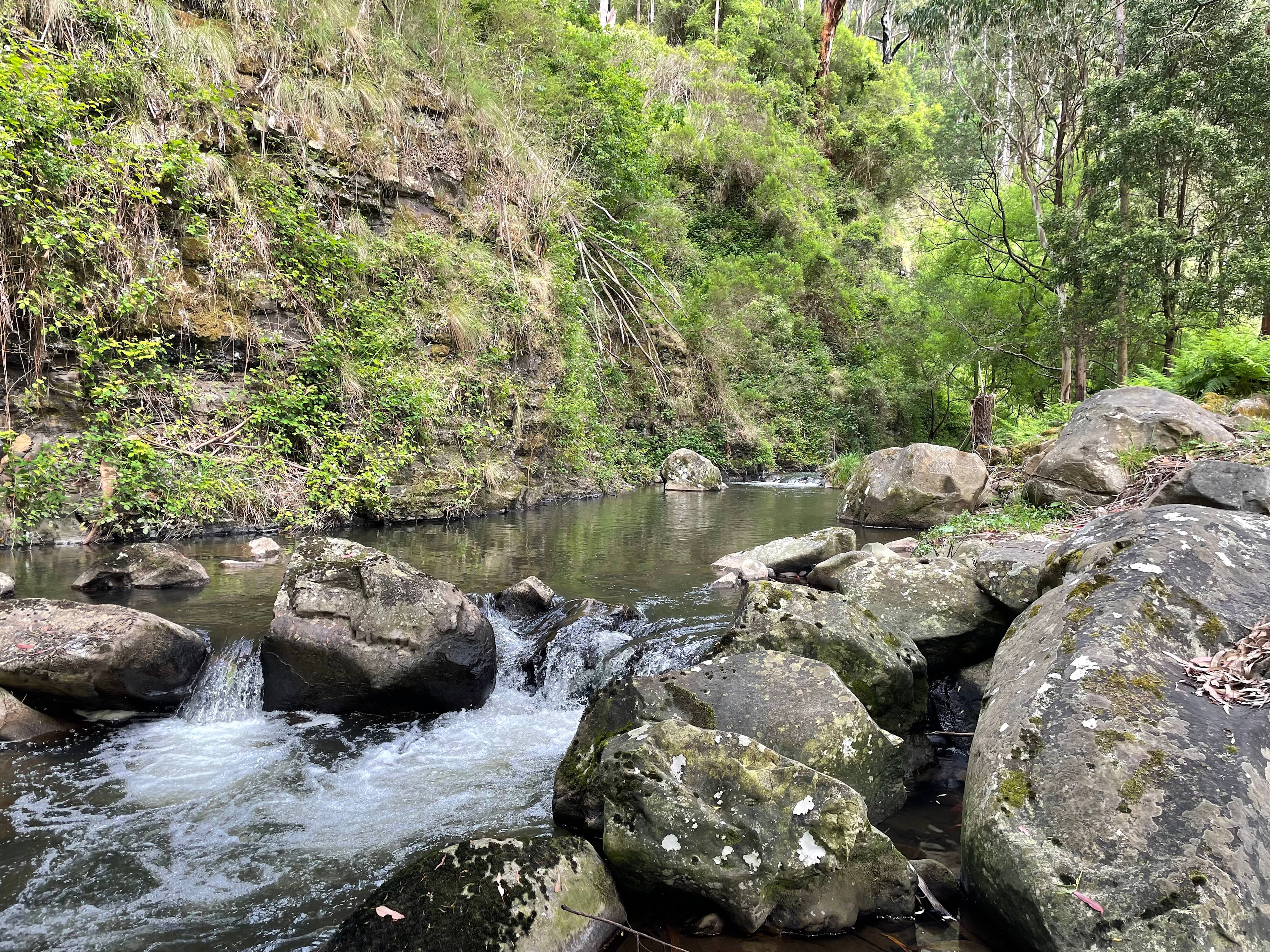 Merrimans Creek Seclusion