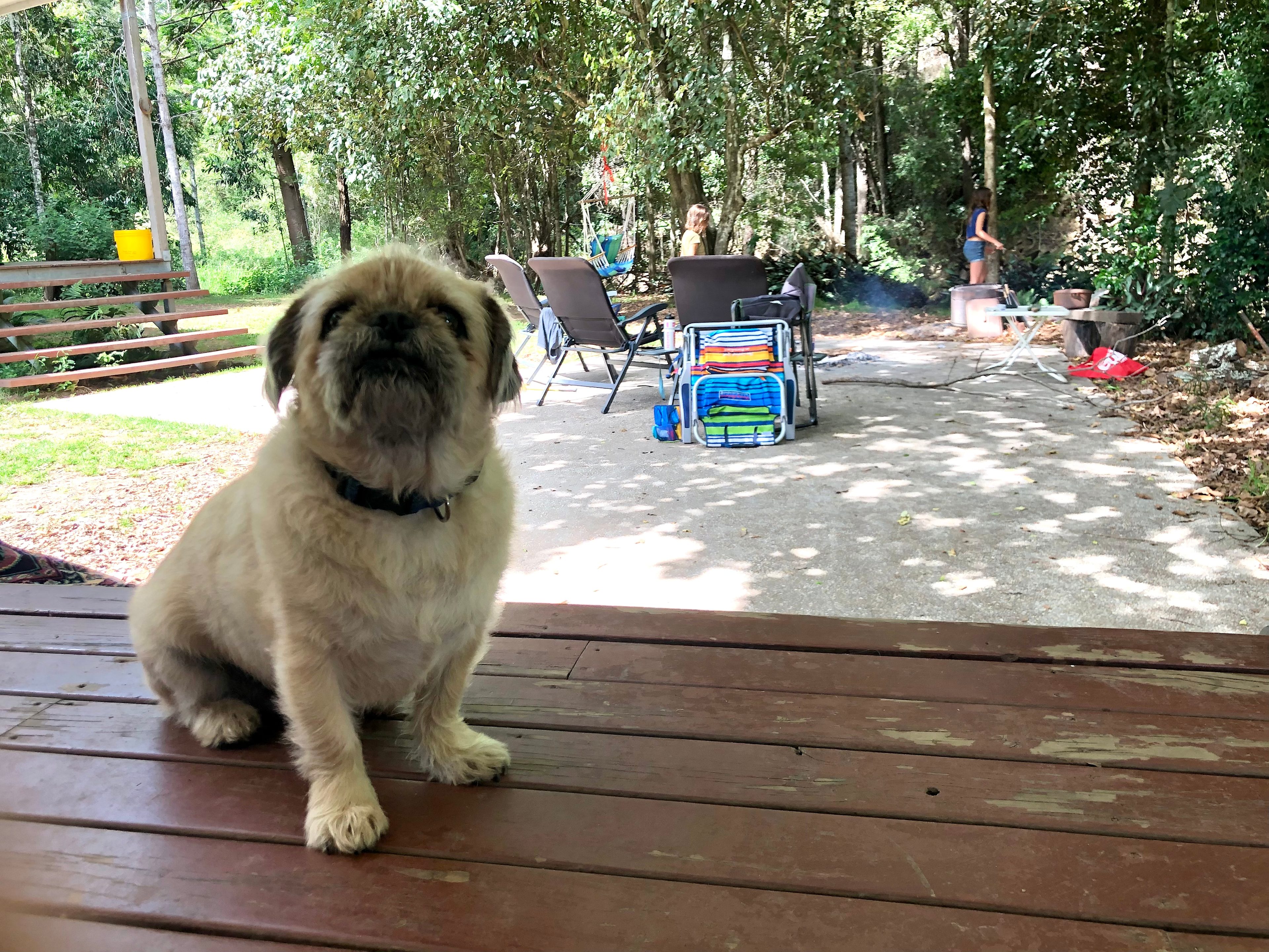 Cahoola Cabins and Camping