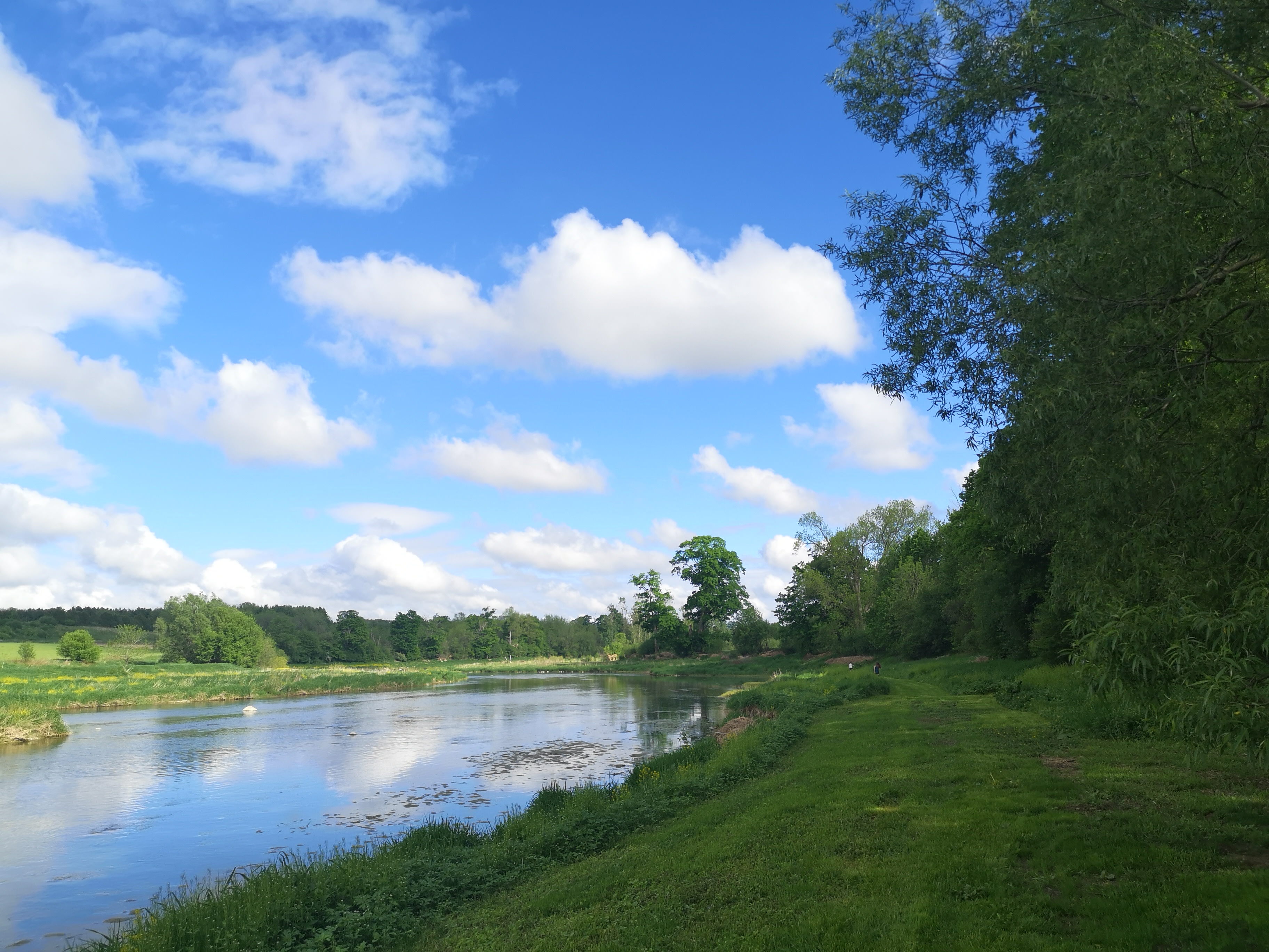 Monarch Meadows Tree Farm