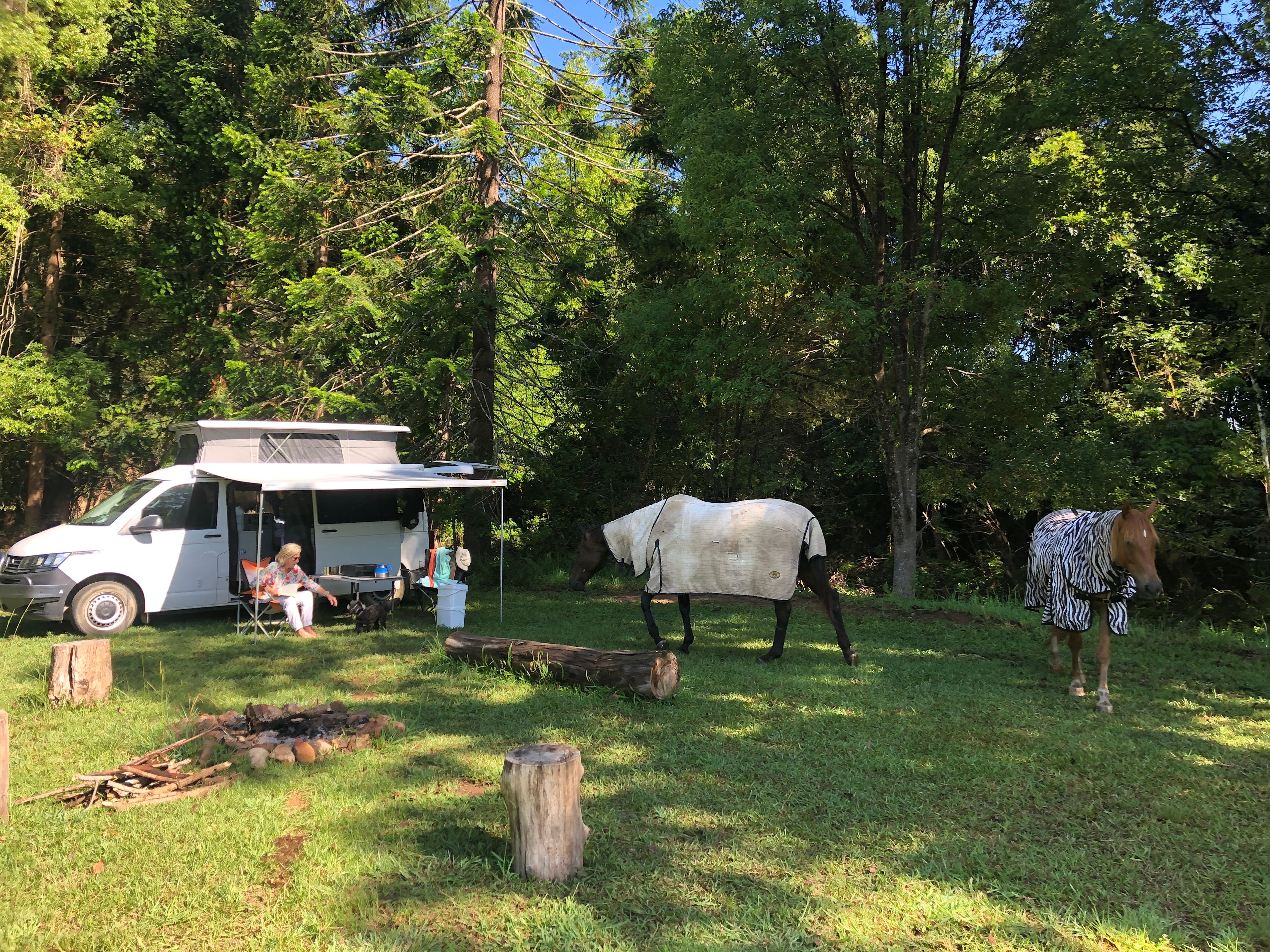 Rowlands Creek Camp Area