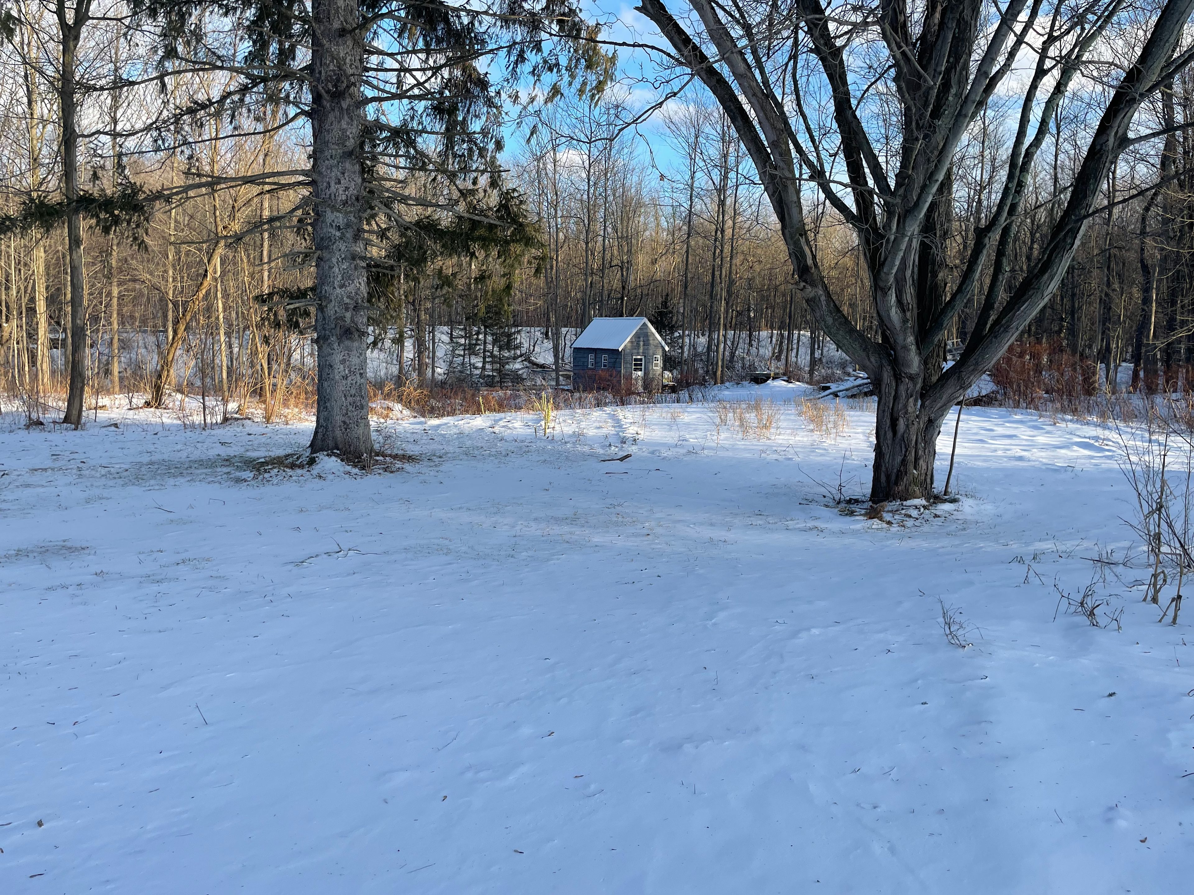 The Green Stump Getaway