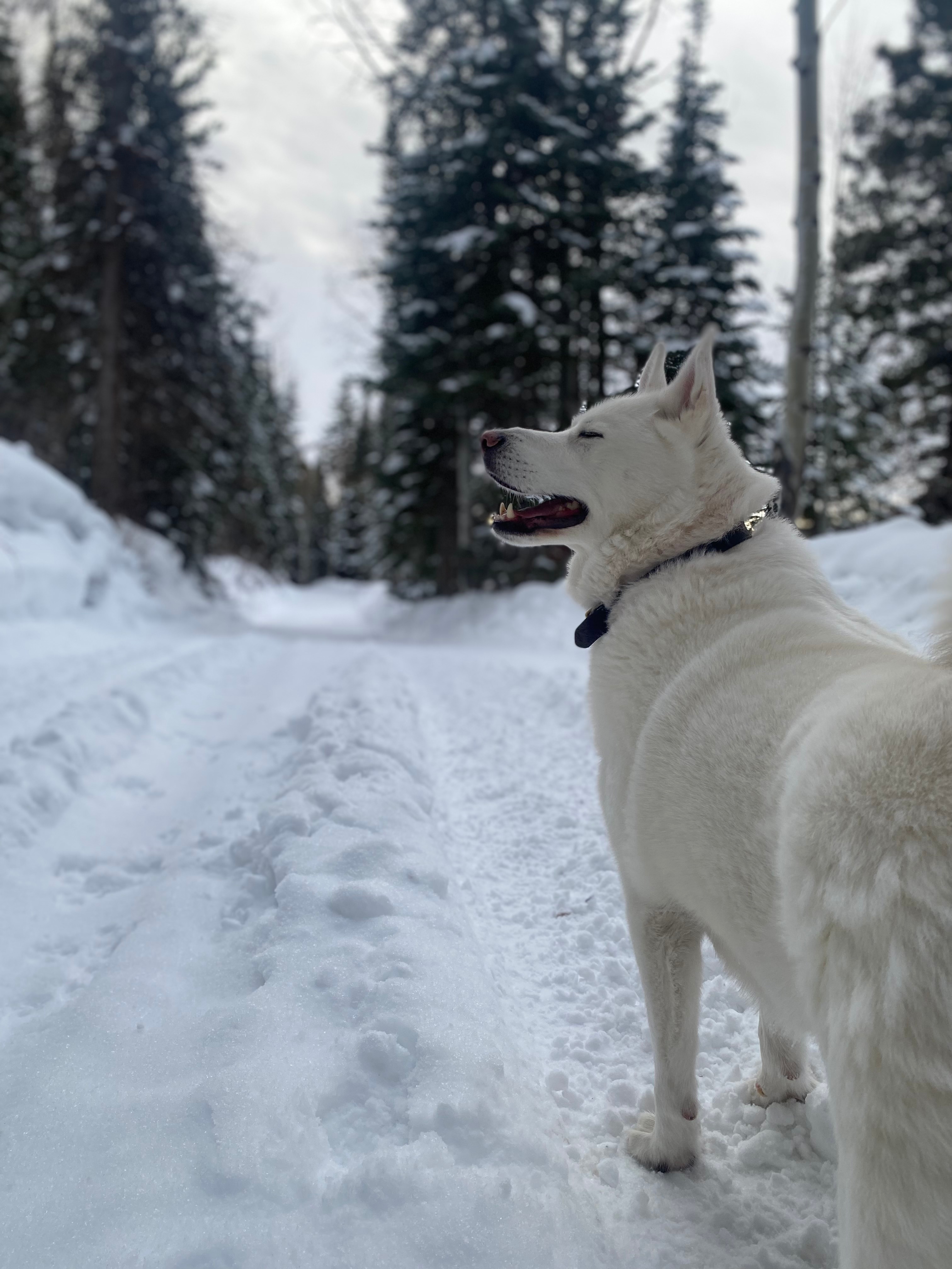 Cabin on the river at Welder Ranch