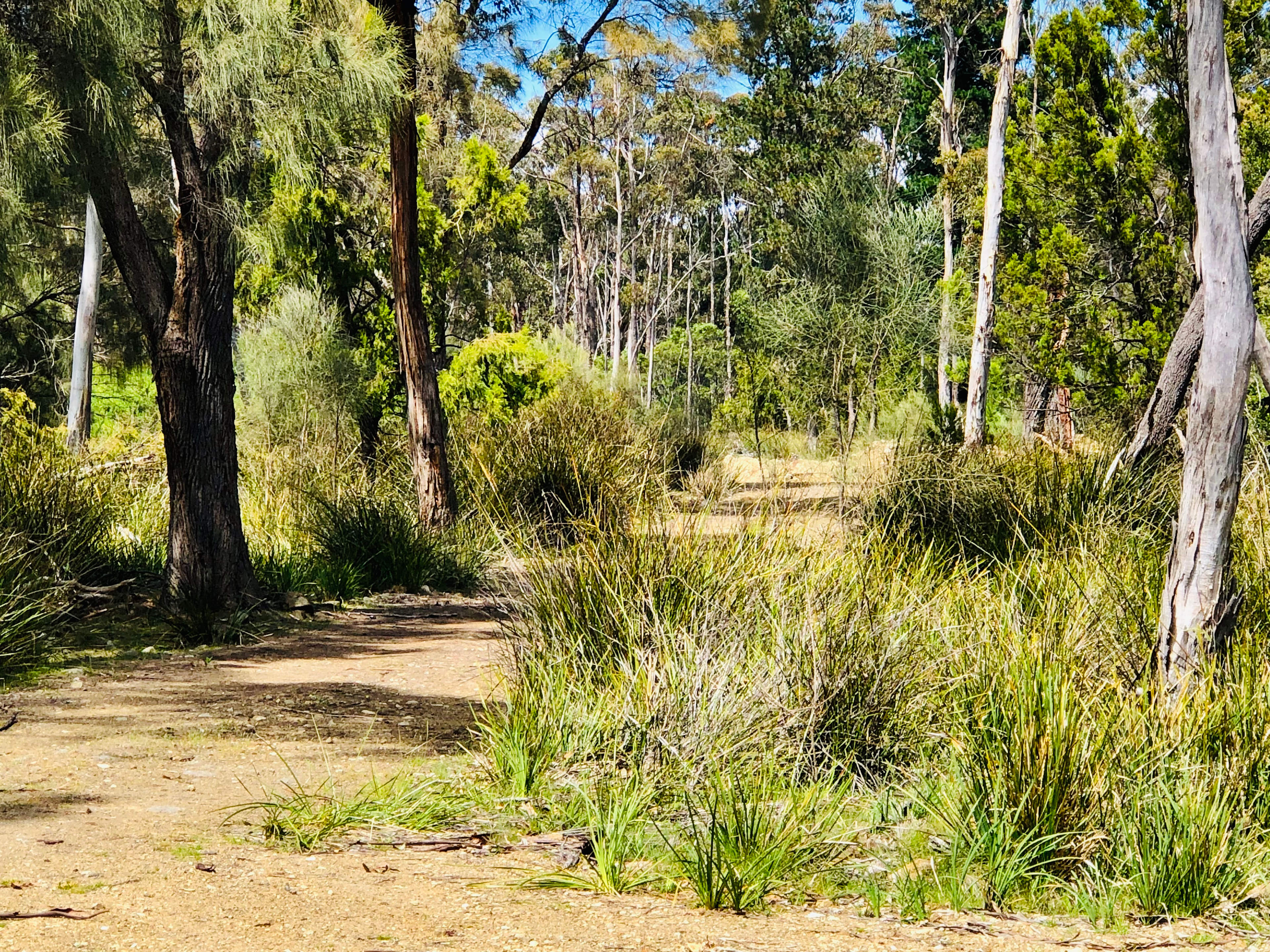 South Bruny Paradise