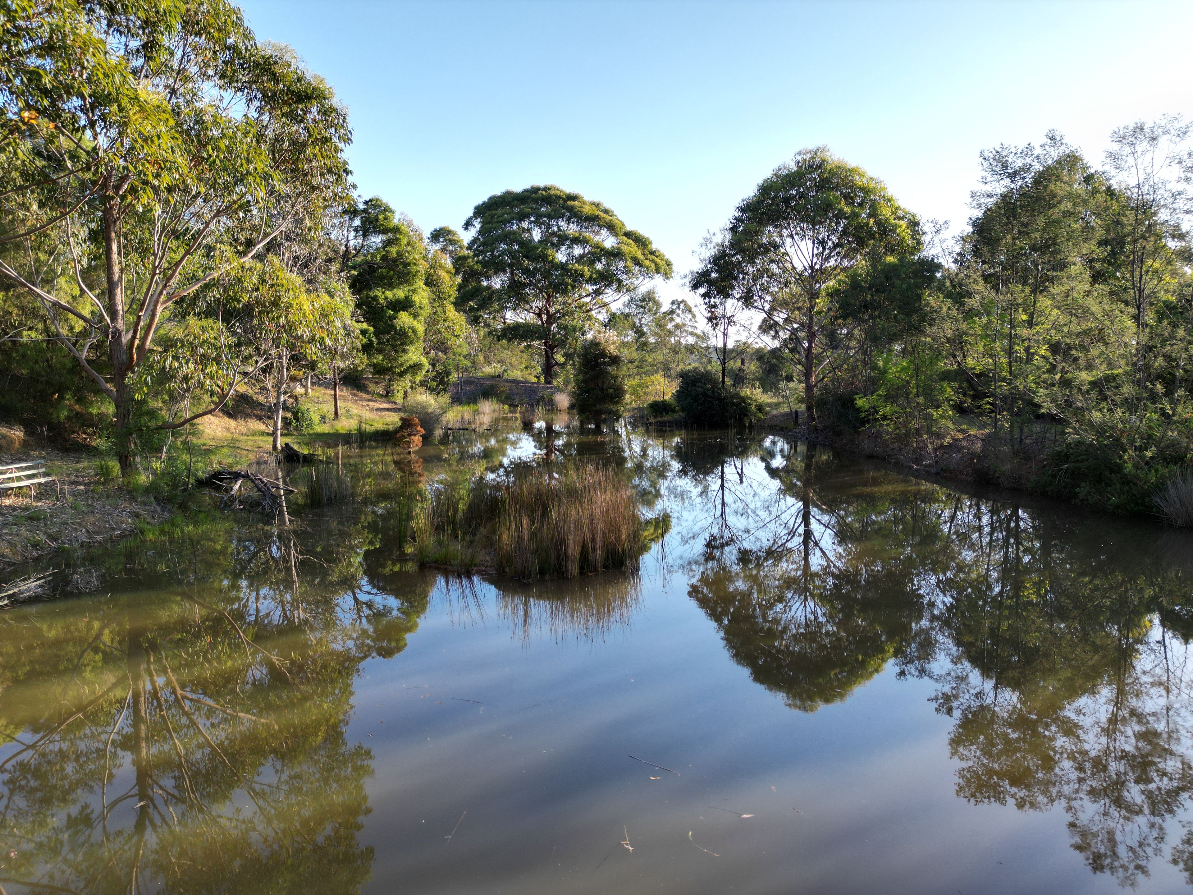 Dams on Property to walk around and spot Turtles, Frogs, Fish and Eels