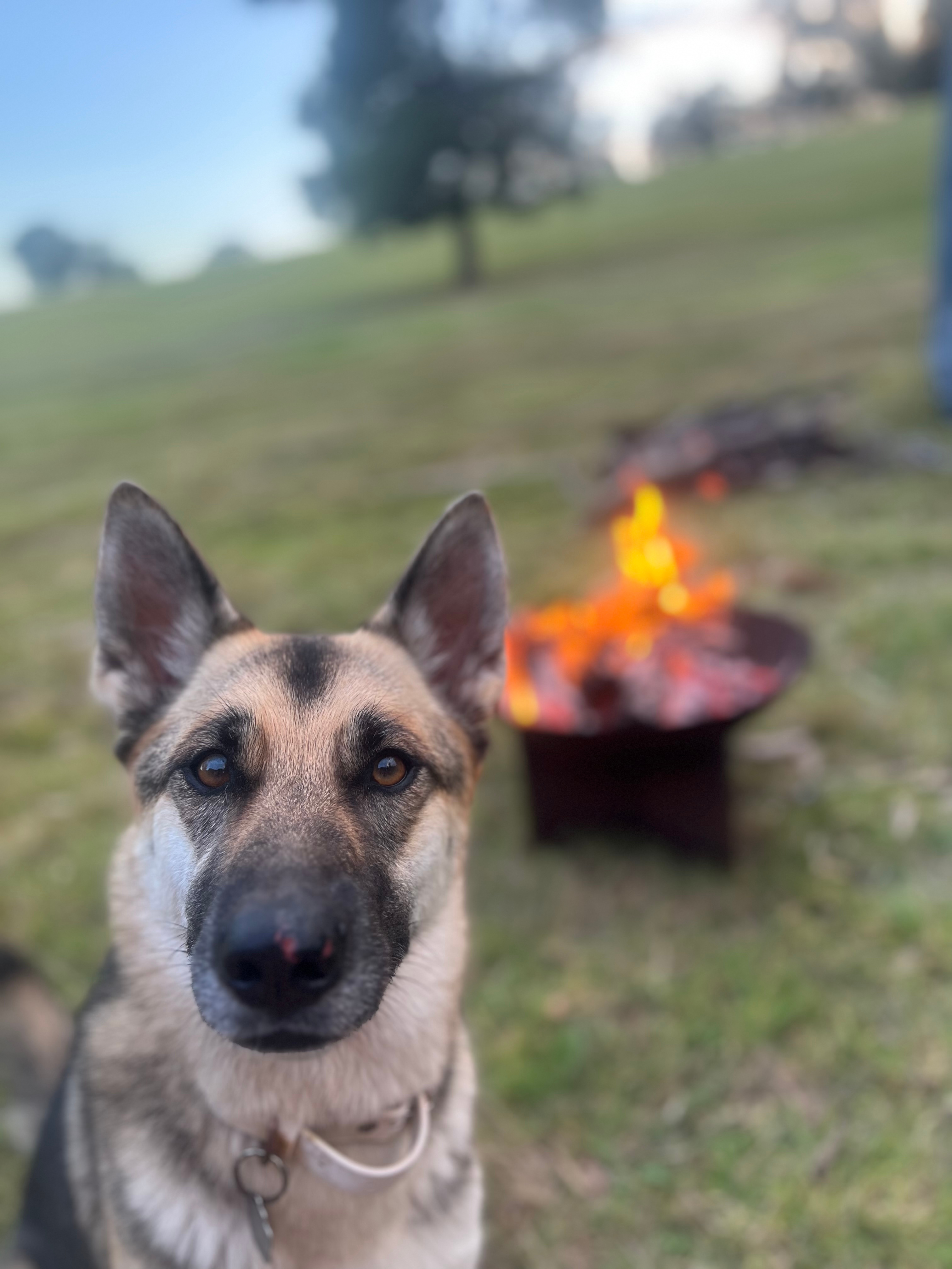 Anchorage Farm Narooma