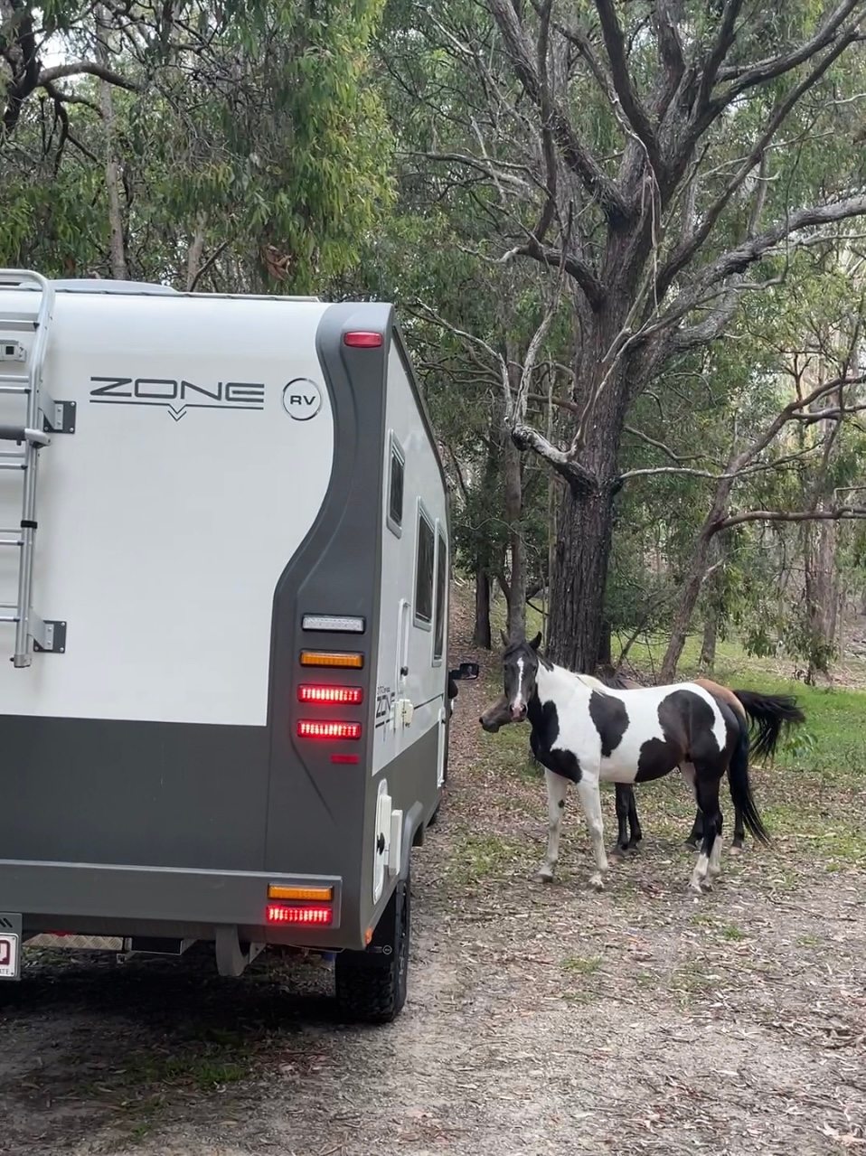 Cabarita Beach Station