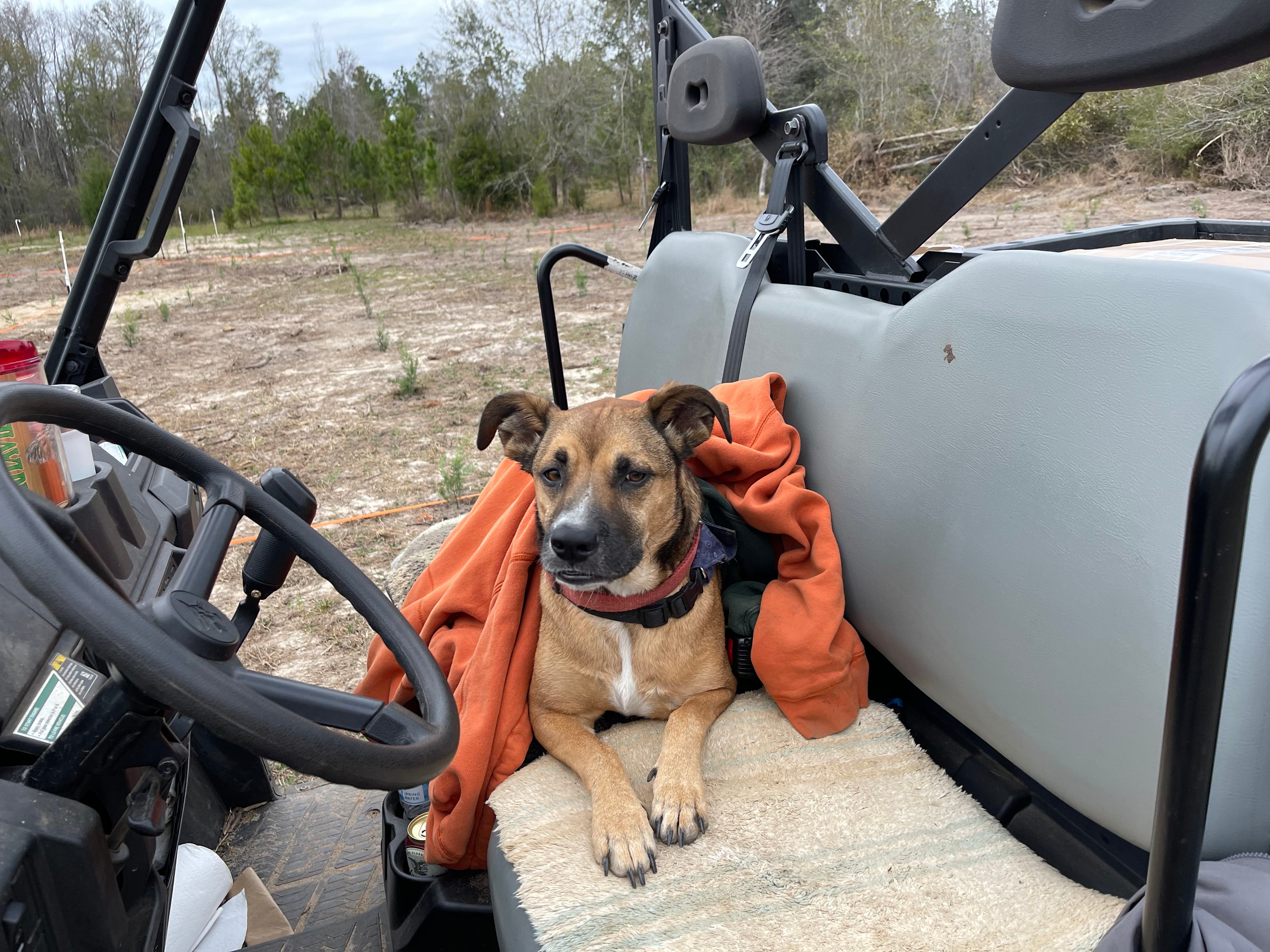 Hidden Cypress Farm LLC, Campground