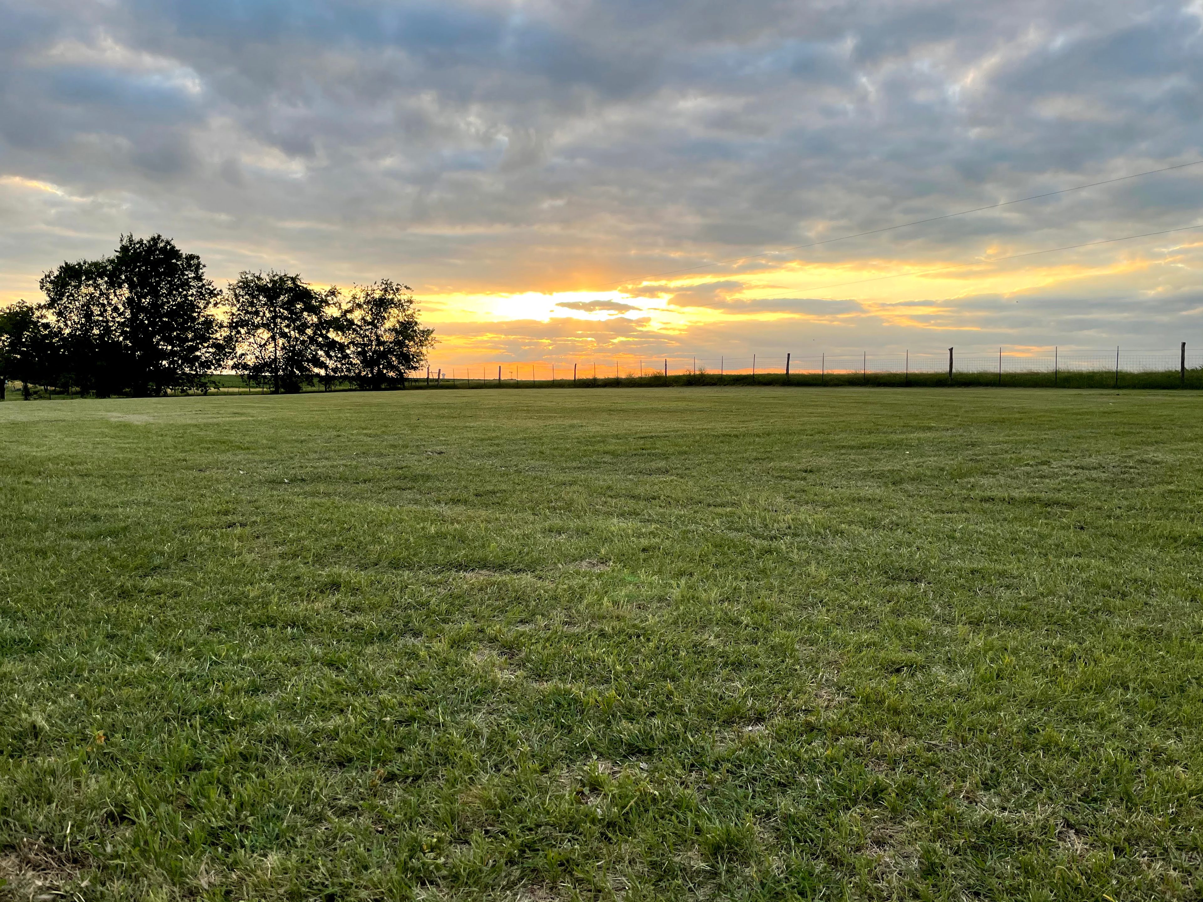 Simply Moore Farm