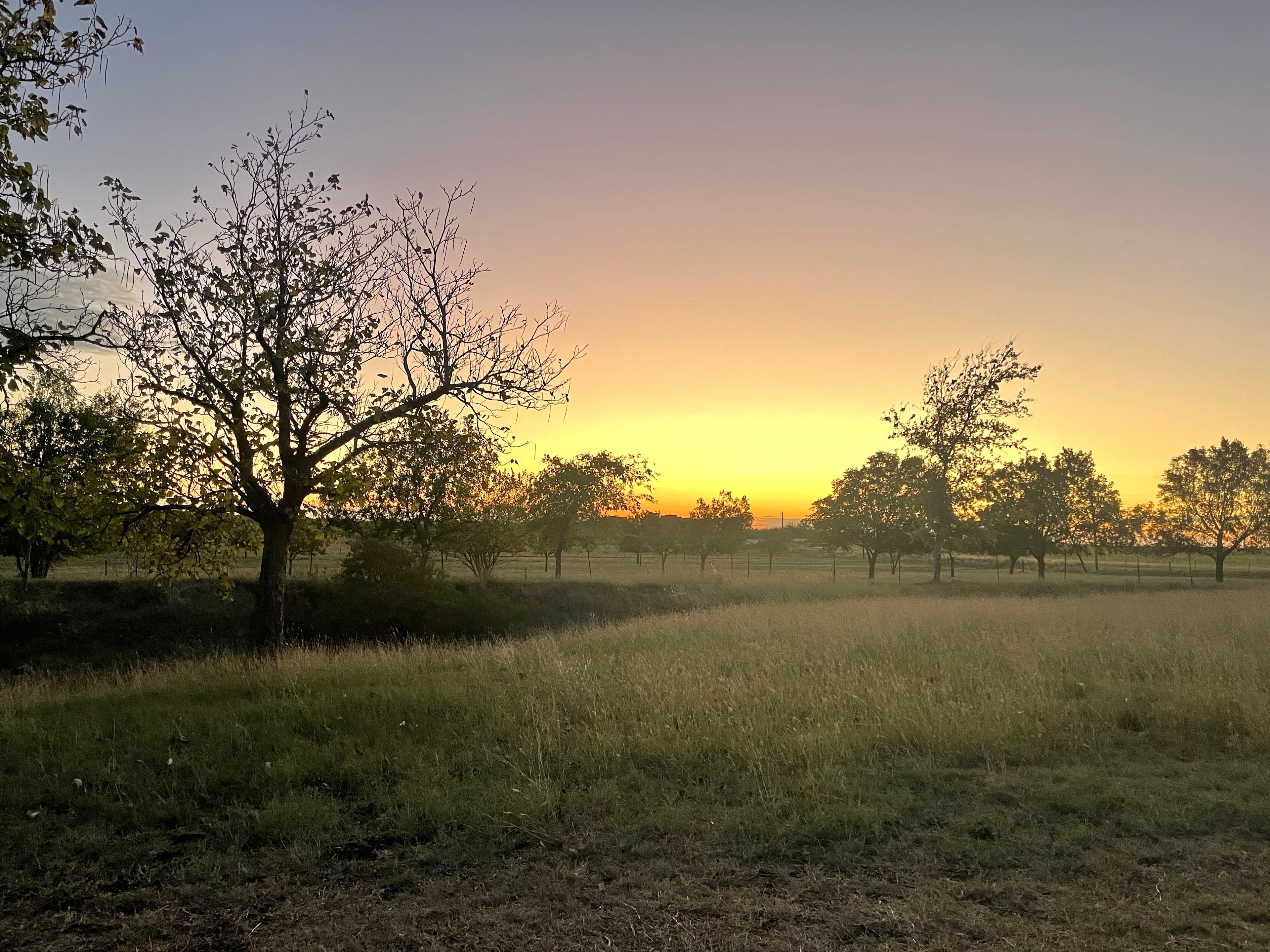 Simply Moore Farm