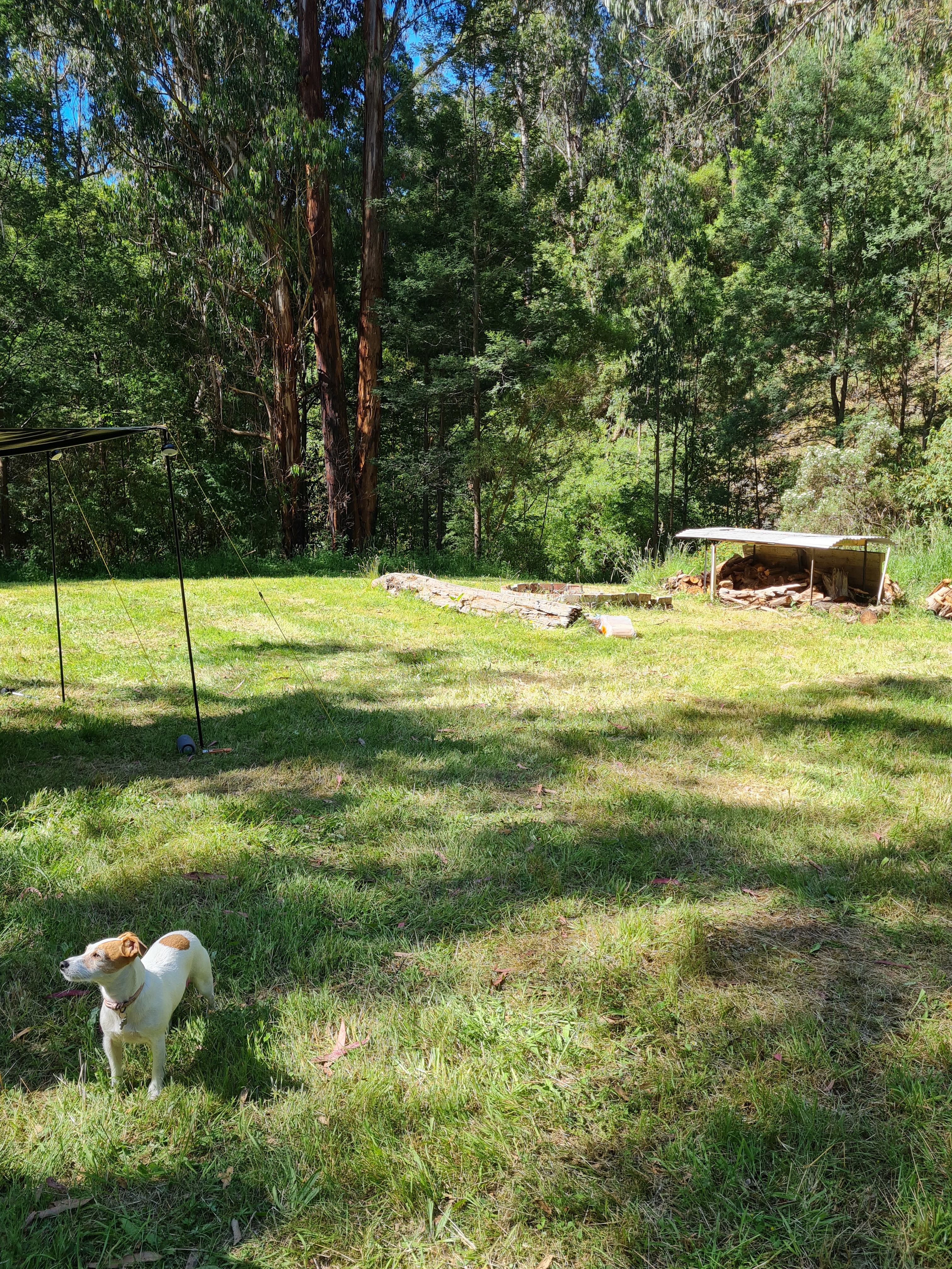 Merrimans Creek Seclusion