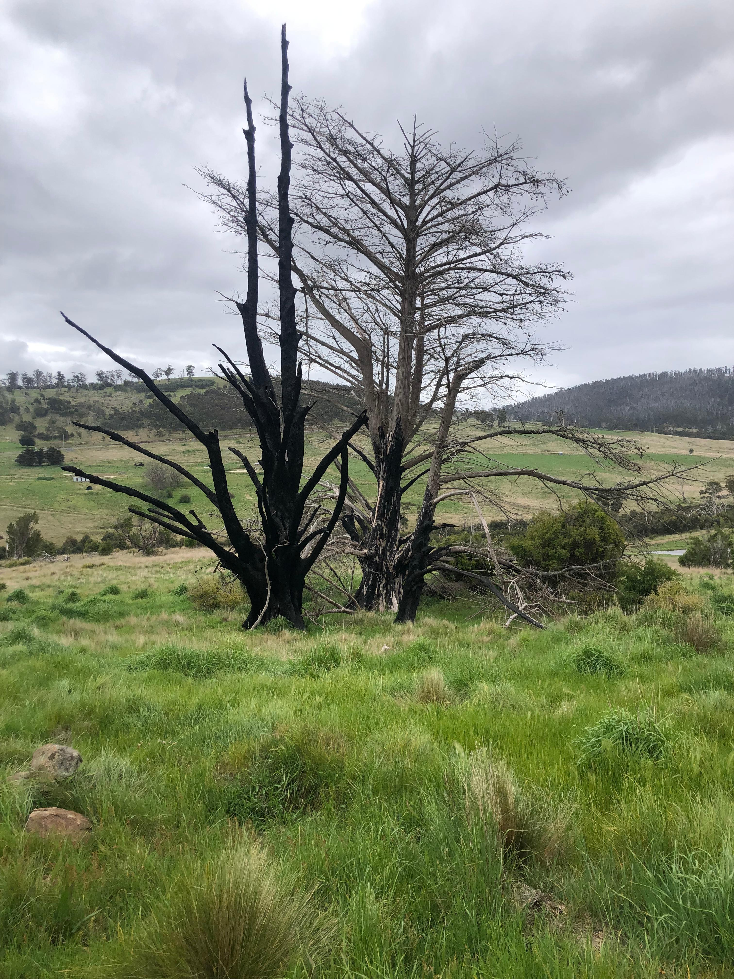 Carlton River Escape