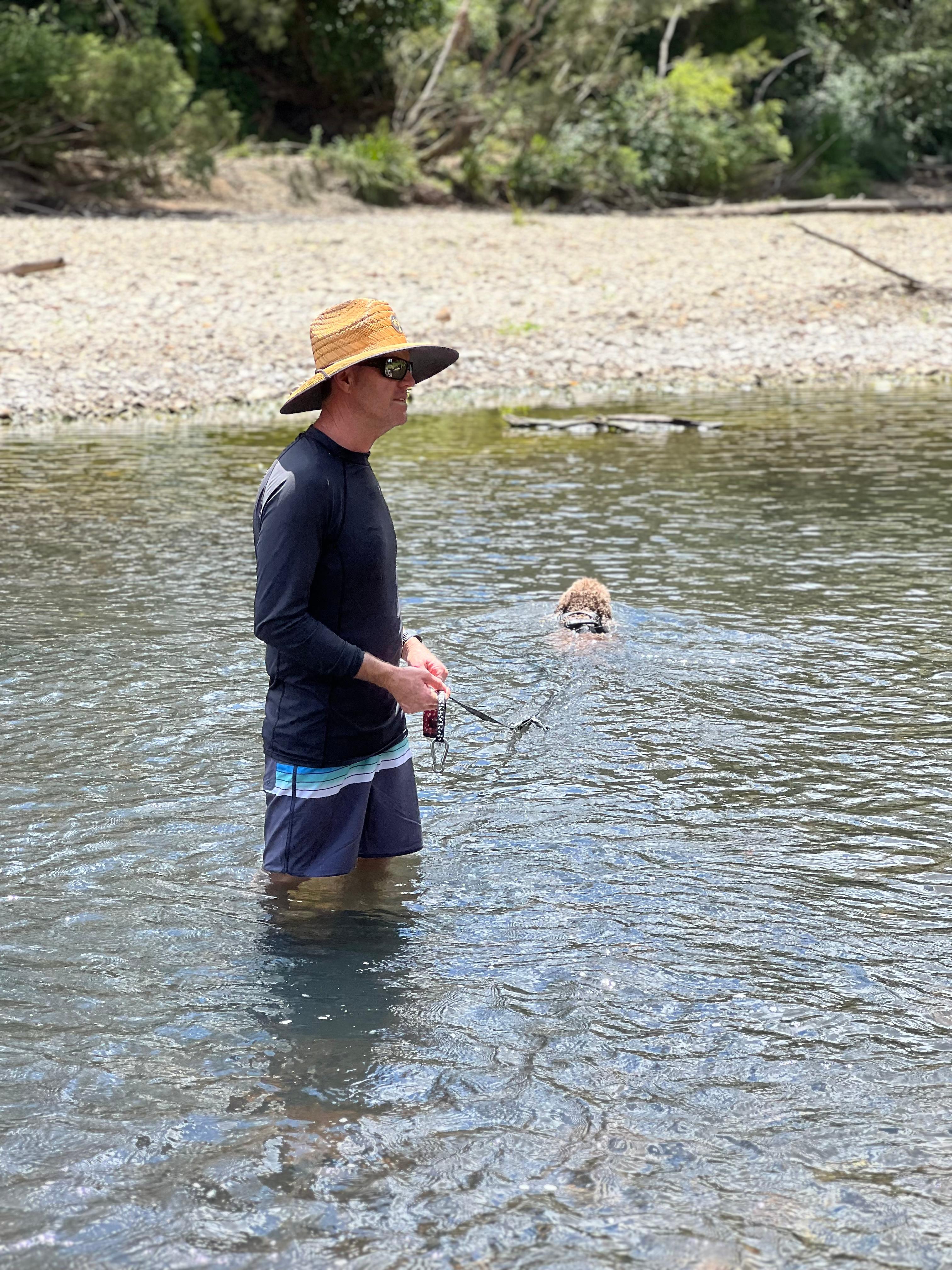 Our Lagotto “Moe” loved swimming in the creek ! 