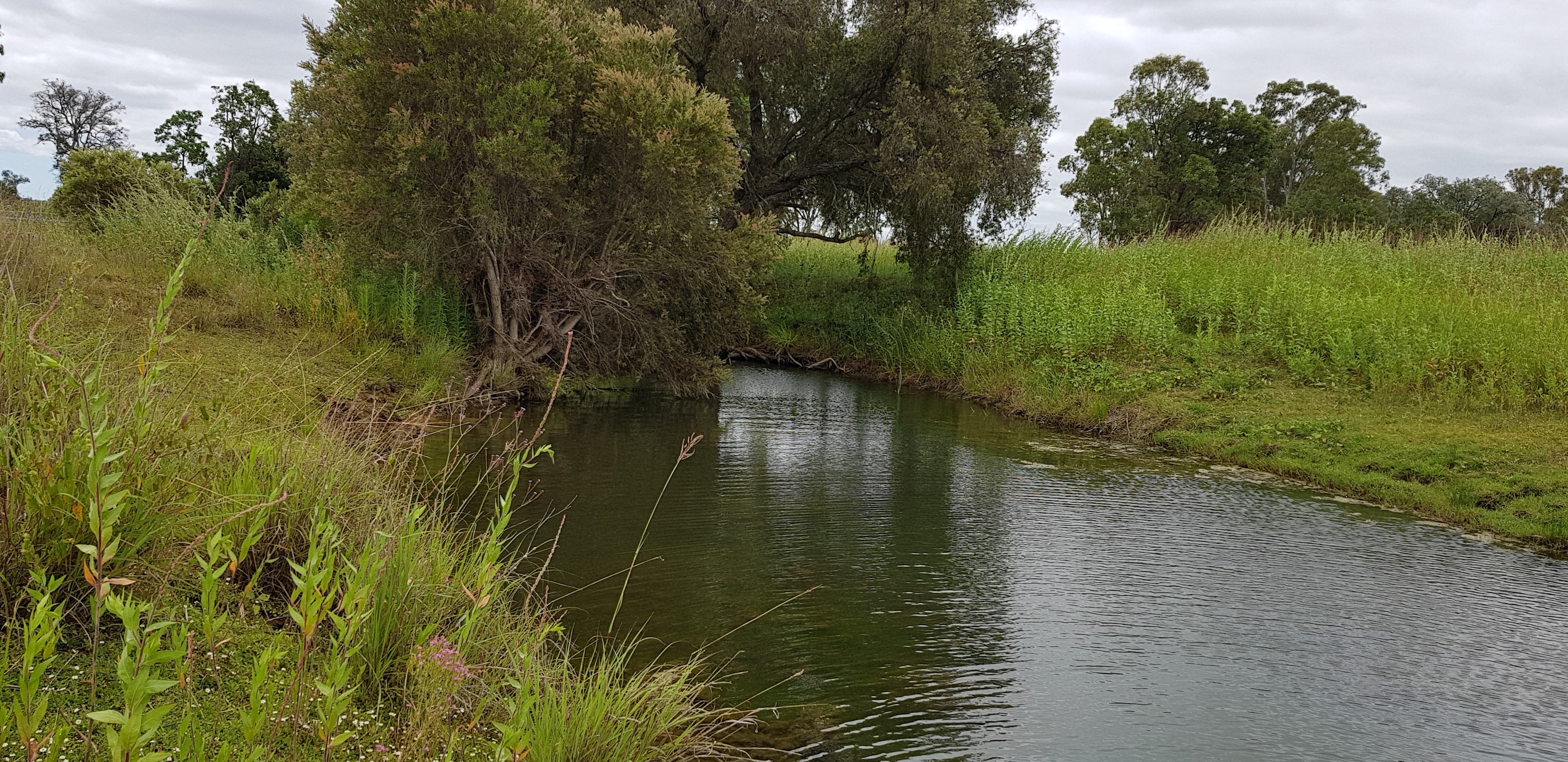 Stockyard Creek by Nanango