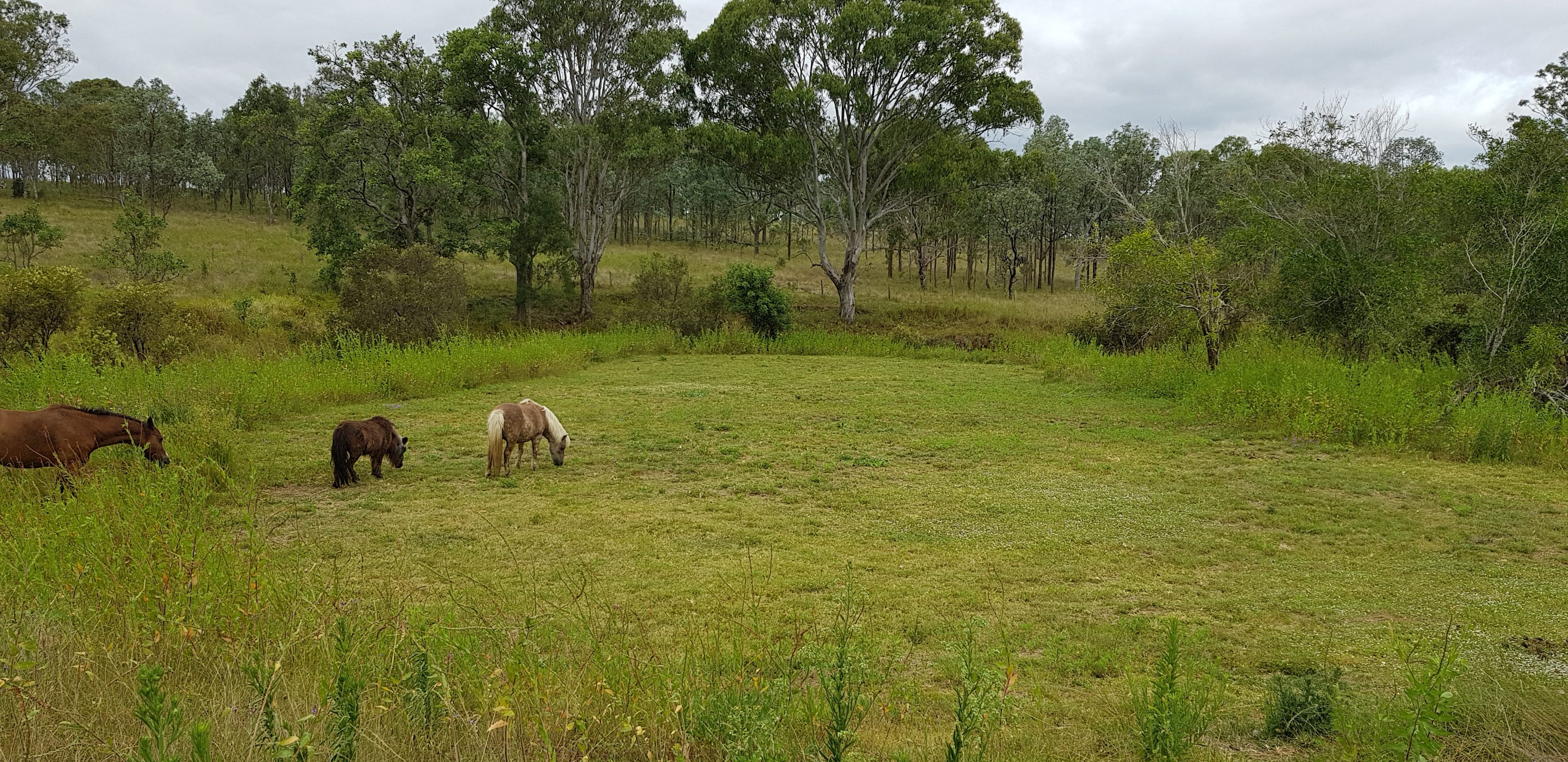 Stockyard Creek by Nanango
