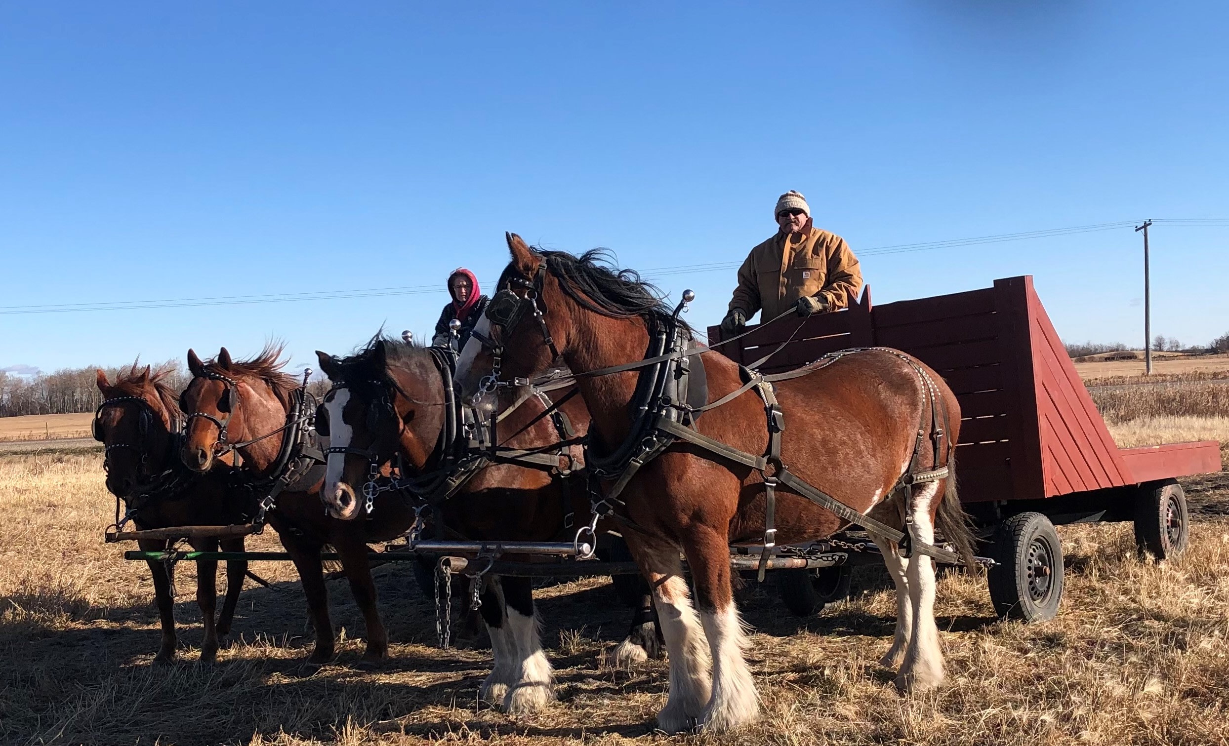 Do It Again Ranch Adventures