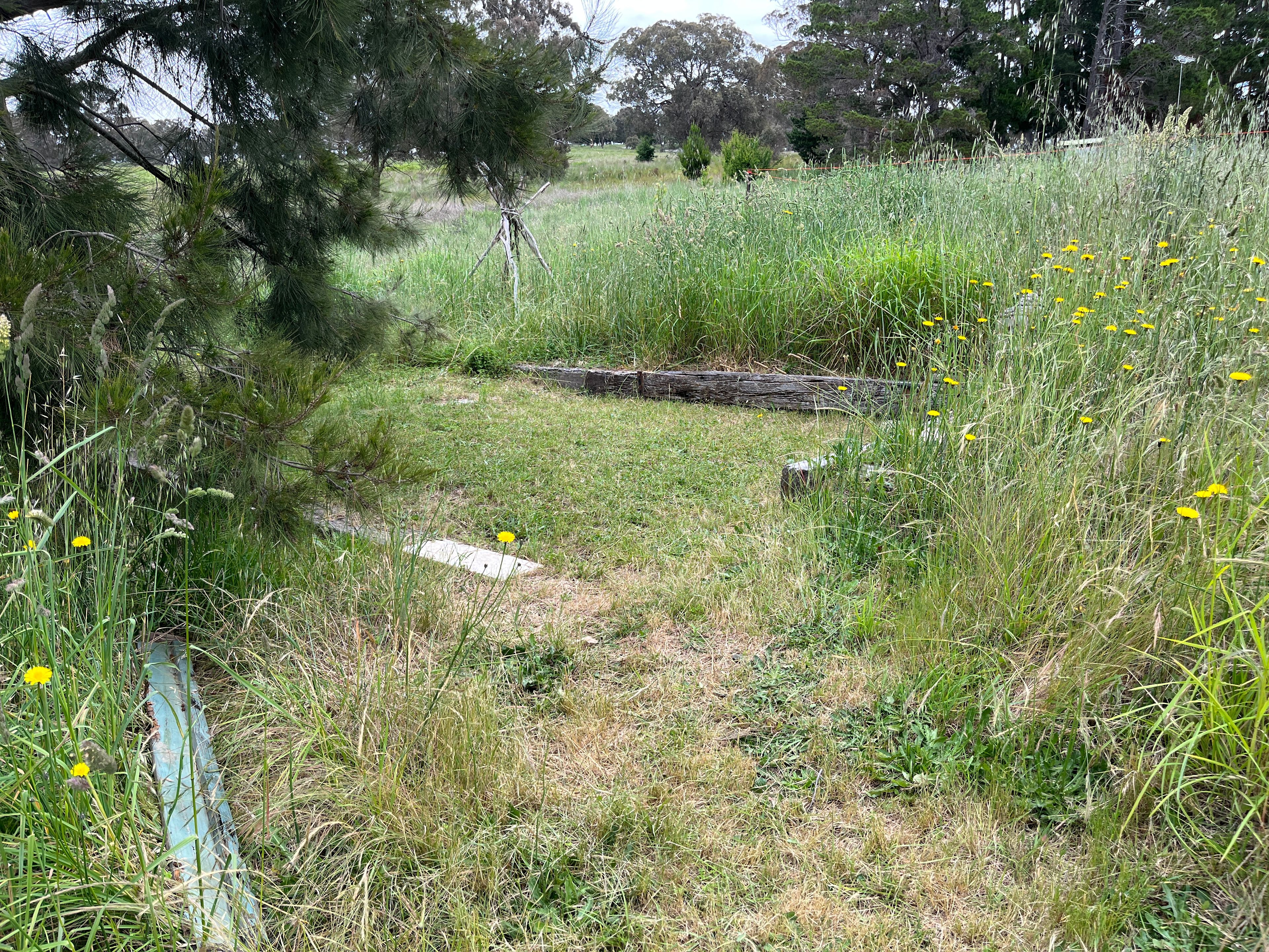 Camping pad - Casuarina Camp spot 3.5x4m