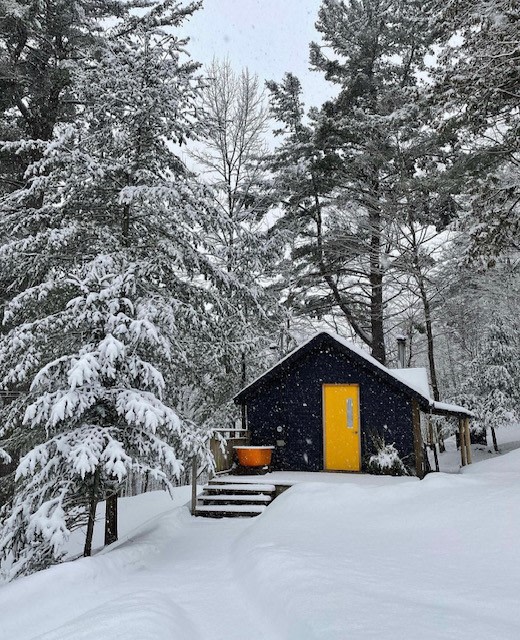 Simple Cabin in town
